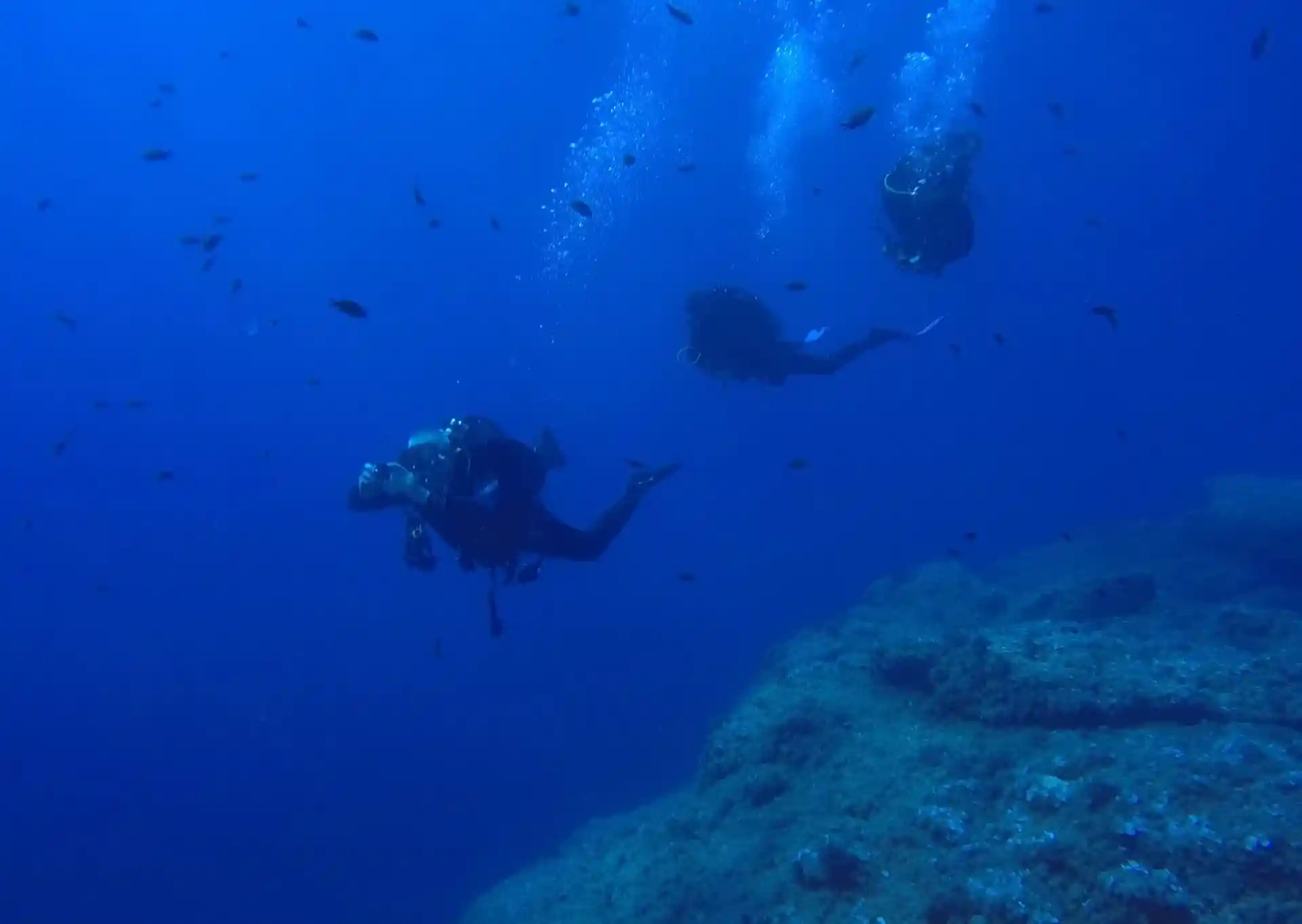 Foto de la actividad