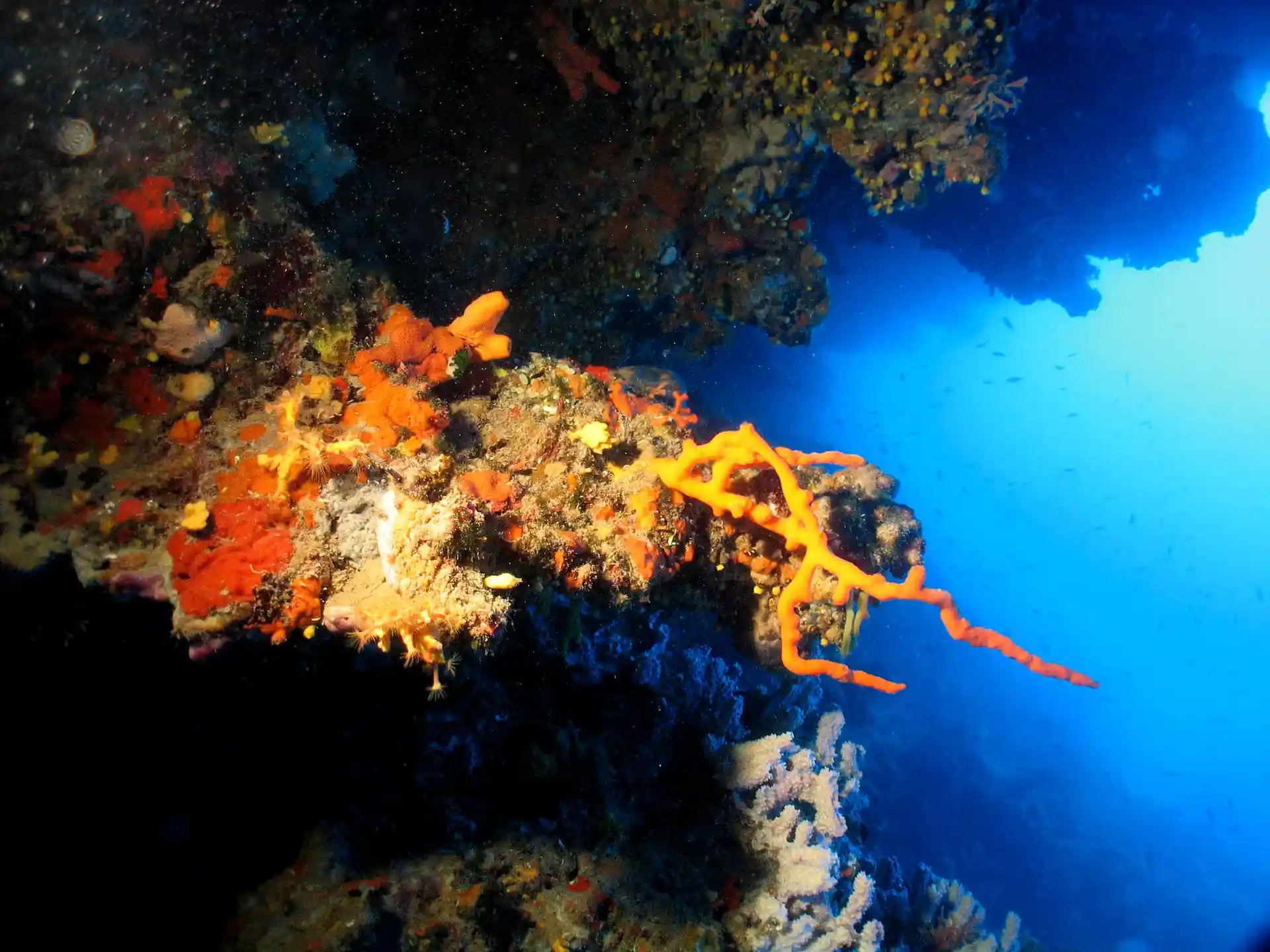 다이빙 포인트 사진