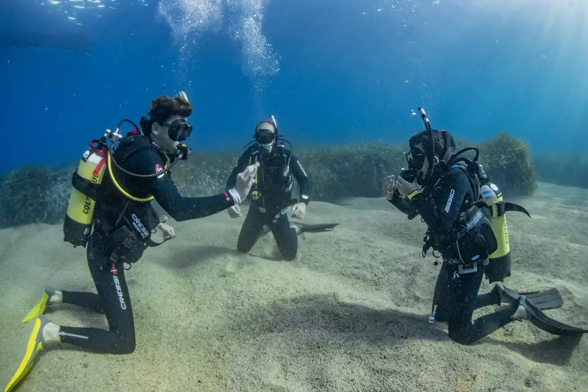 Dive site photo