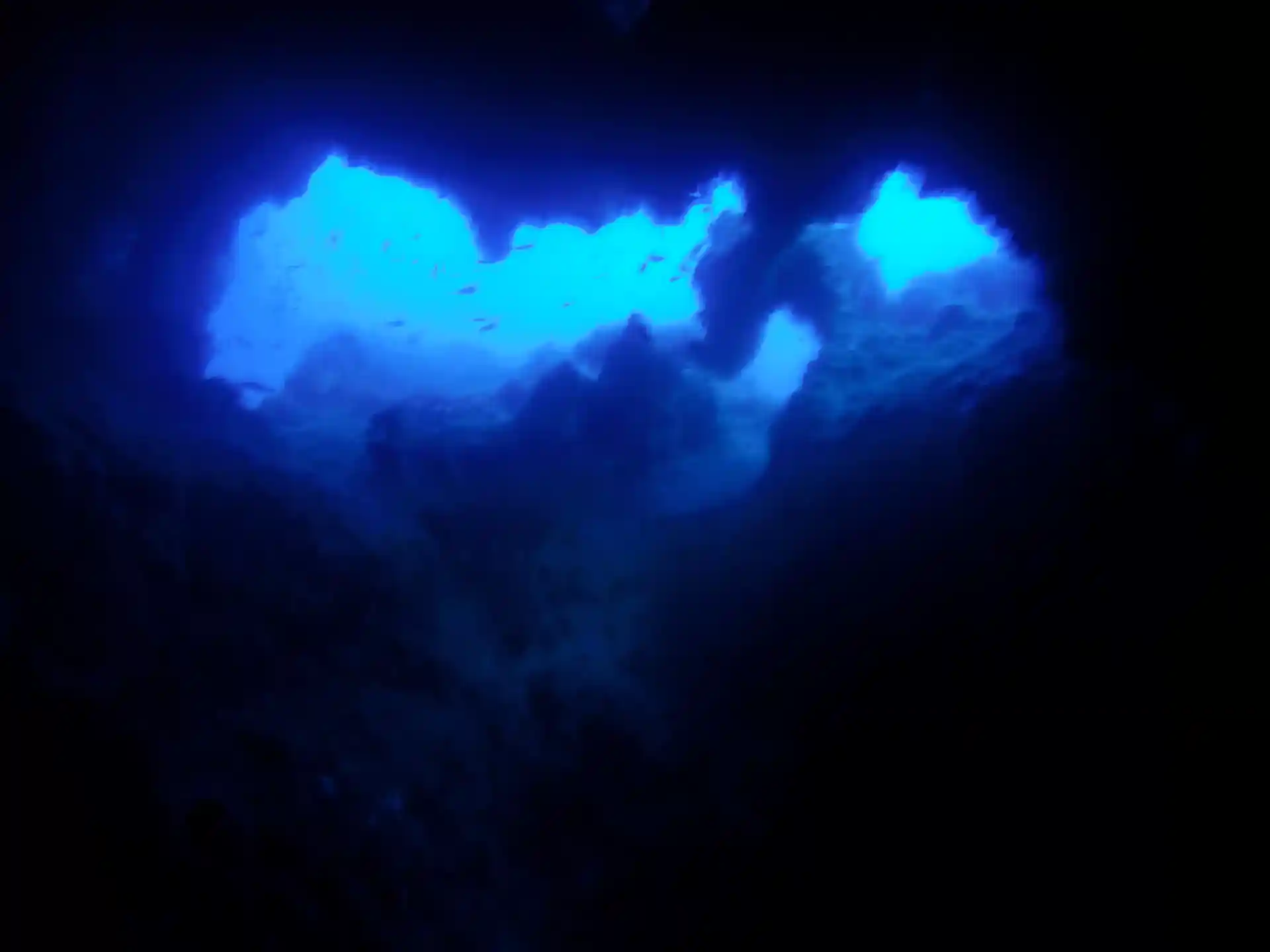 Foto de la actividad