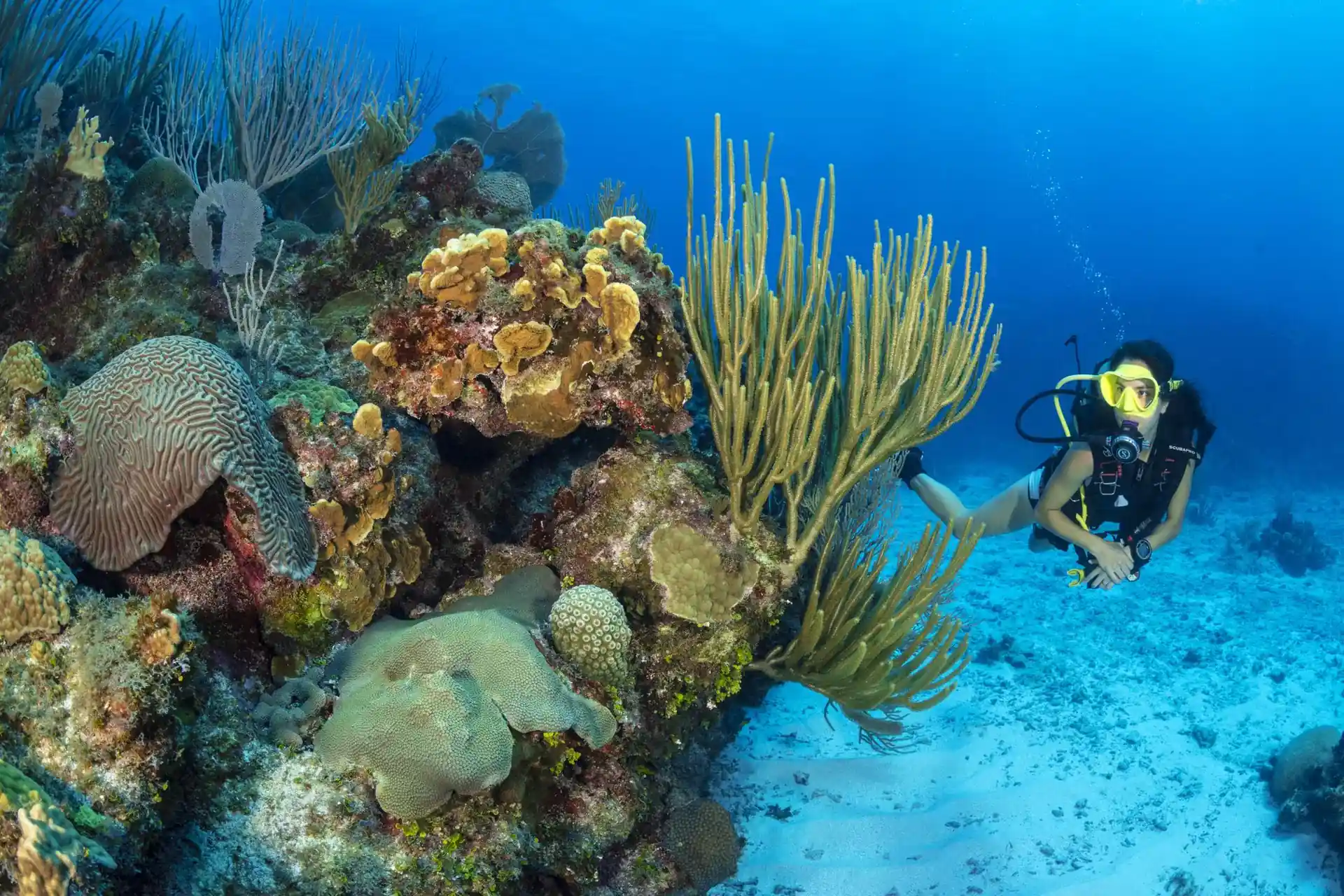 Dive site photo