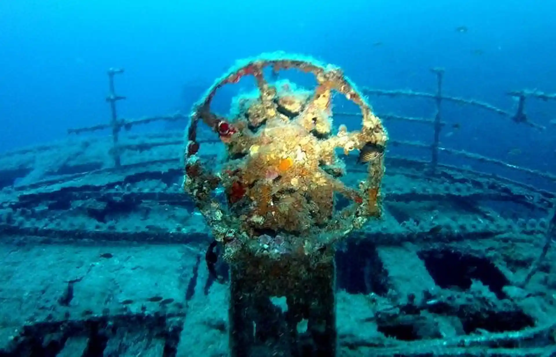 Imperial Eagle wheel