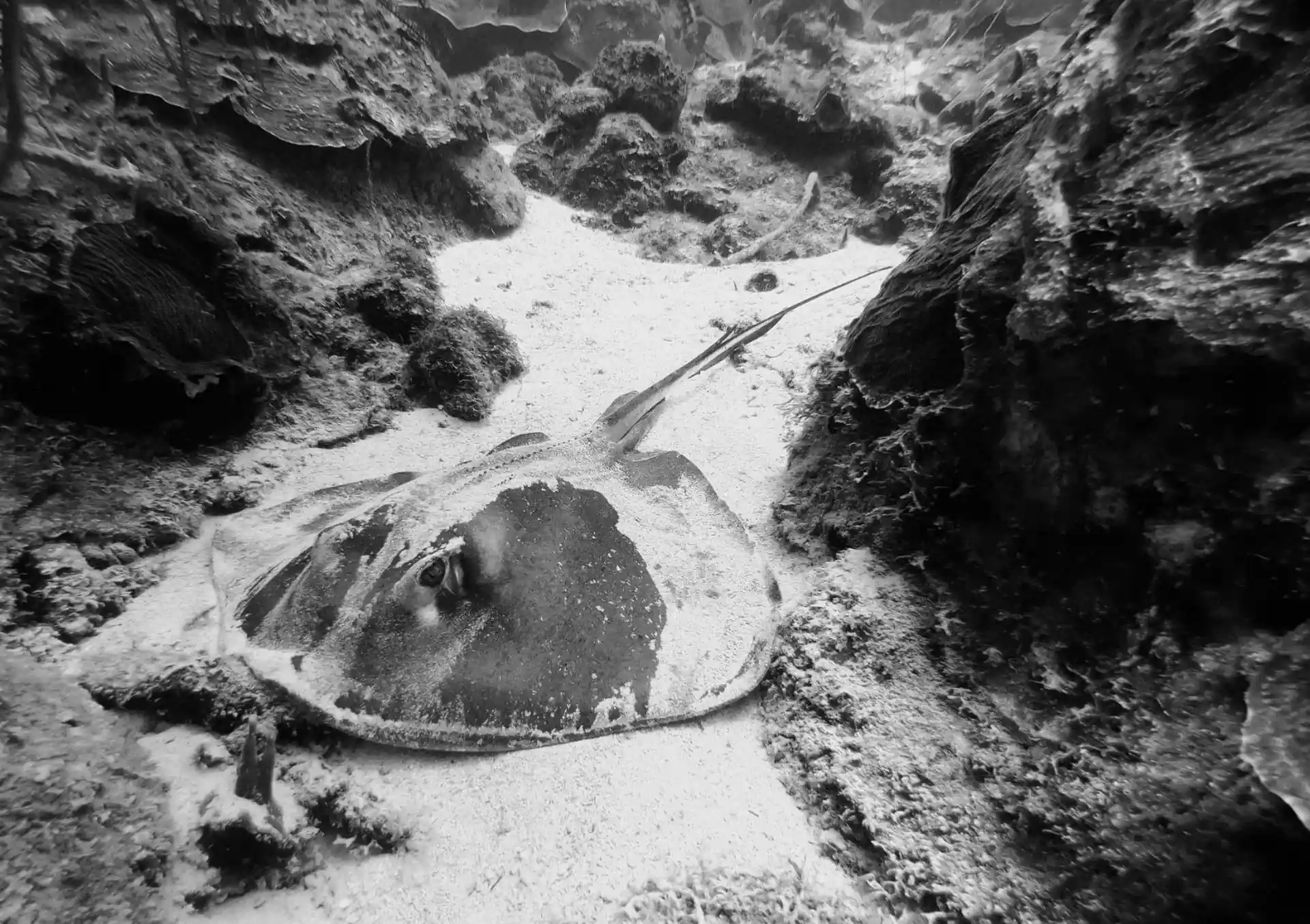 Dive site photo