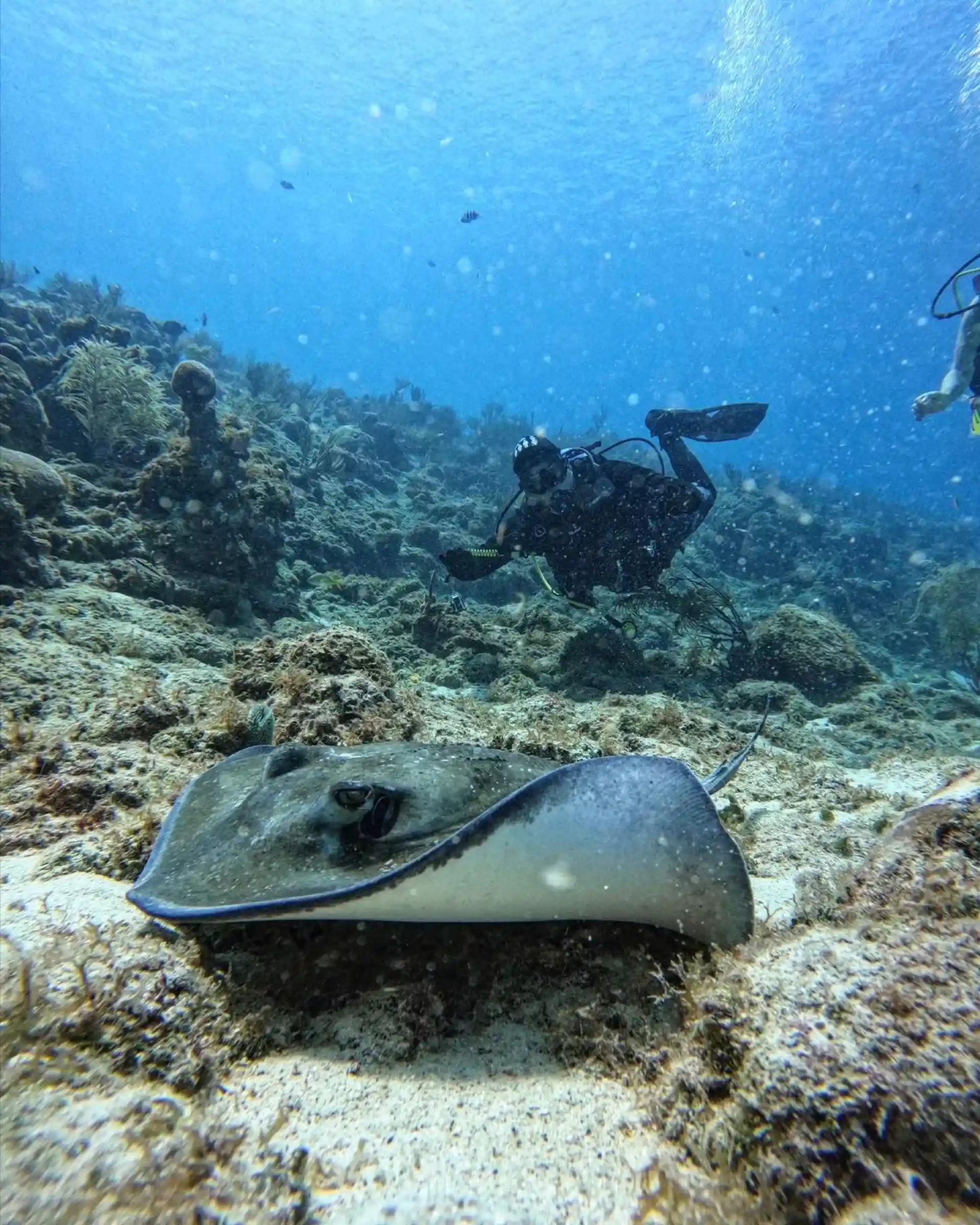 Dive site photo