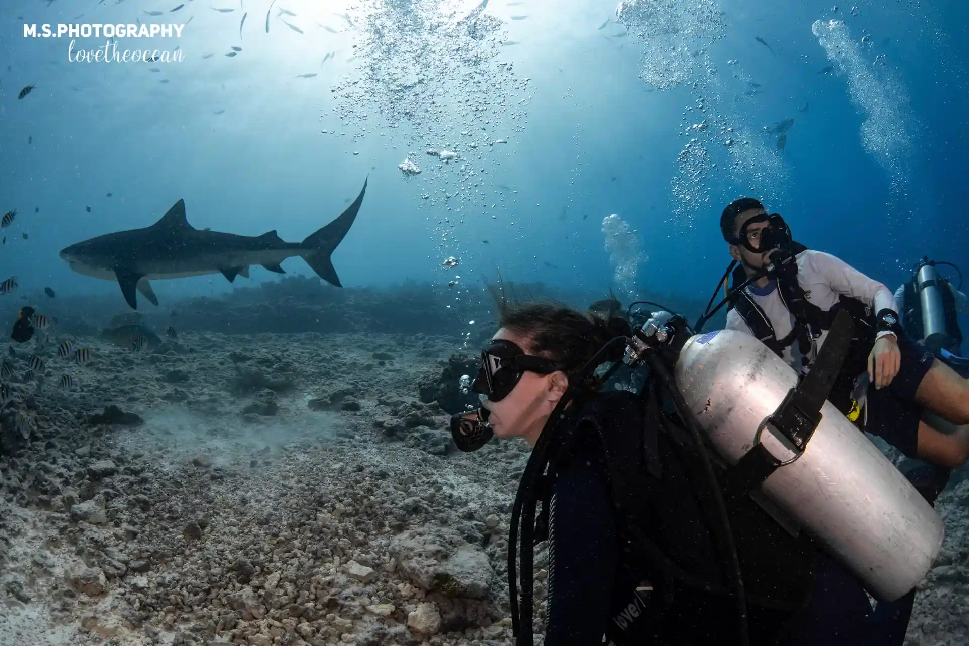 Foto del sitio de buceo