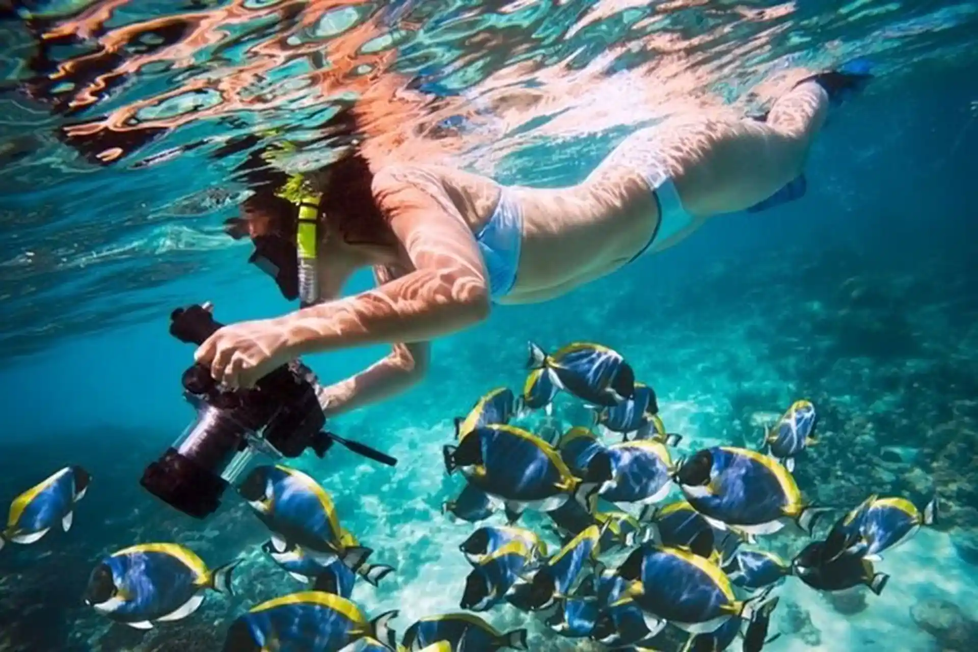 Nemo DIving Center