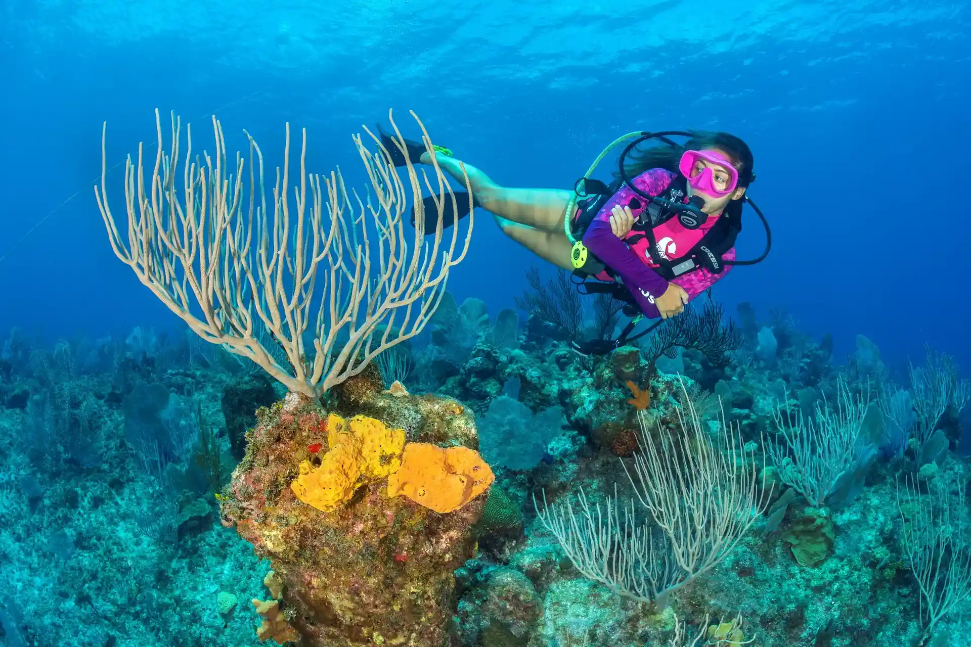 Dive site photo