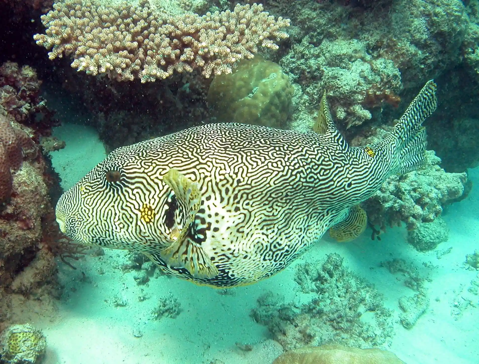 Dive site photo