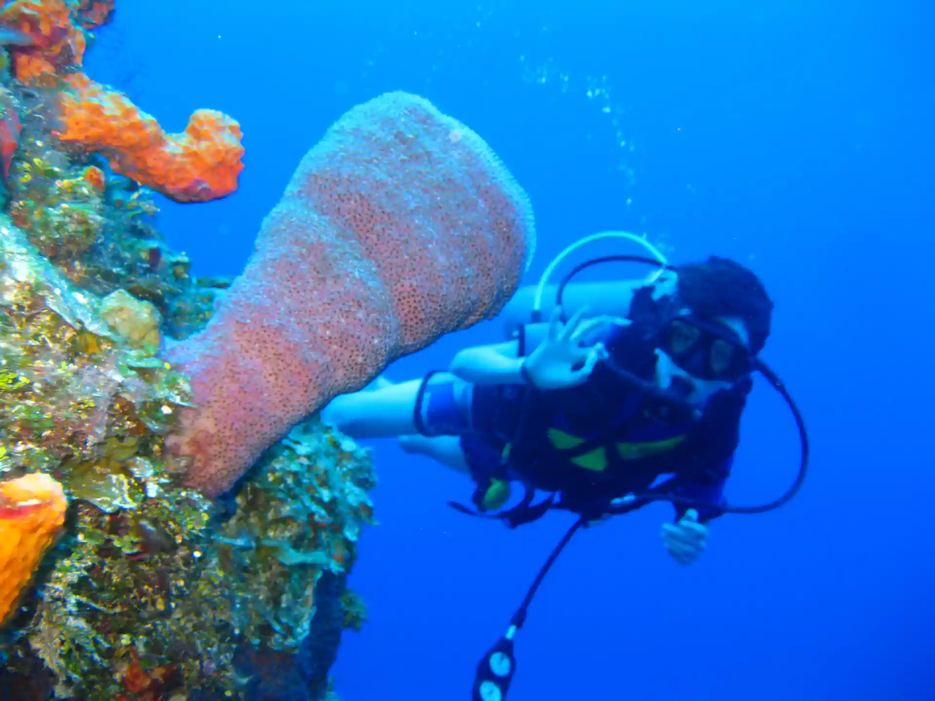 Foto de la actividad