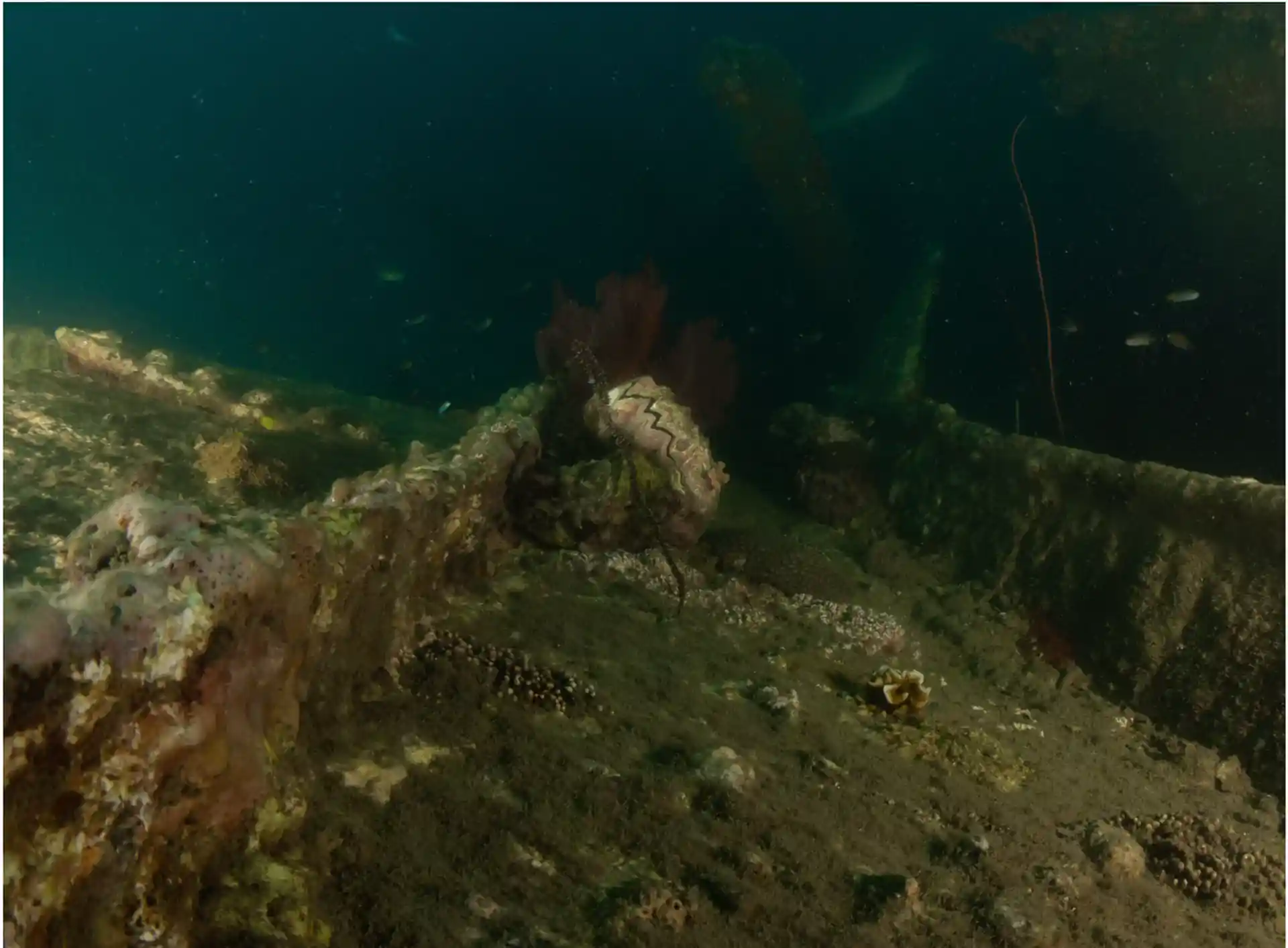 Dive site photo