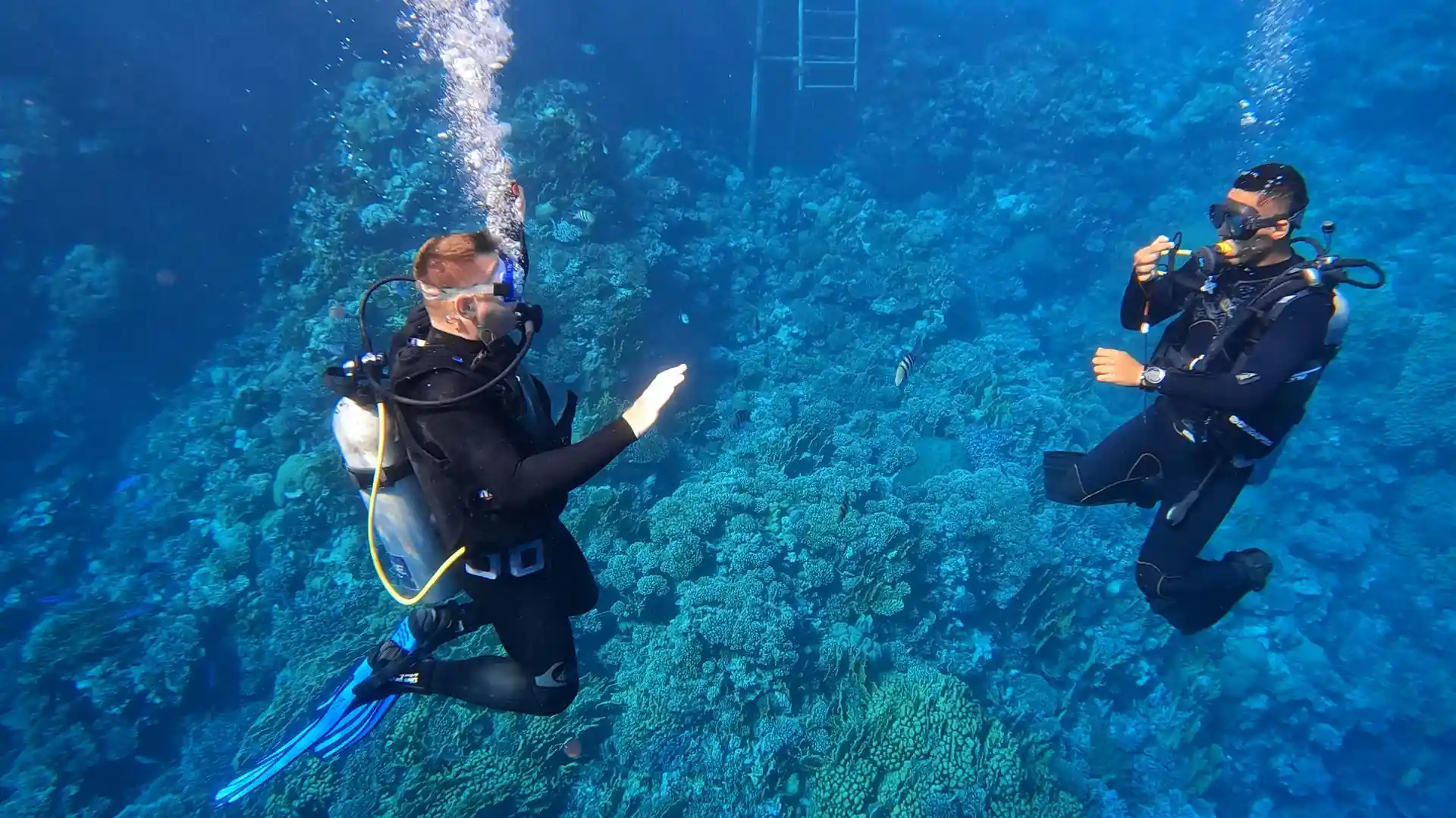 Dive shop photo