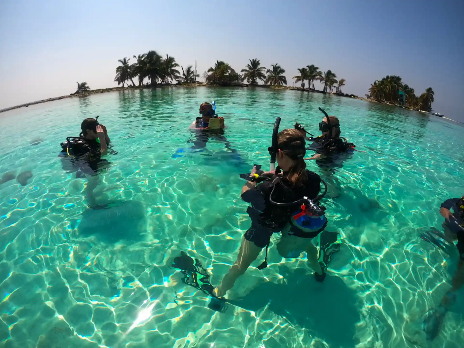 Building confidence, one skill at a time! 🤿💙 Confined water training is where future divers master the basics before exploring the open ocean.