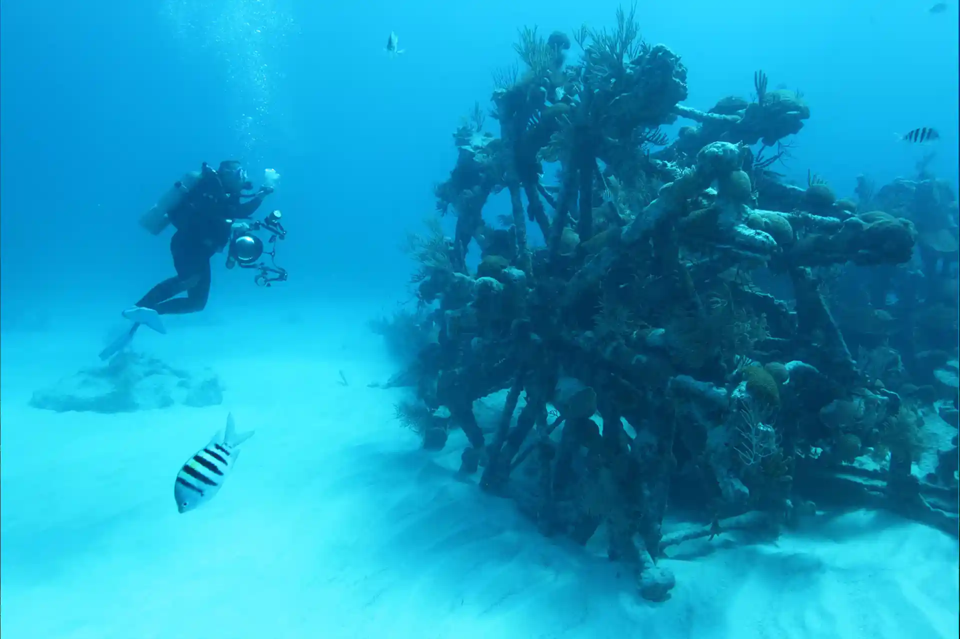 다이빙 포인트 사진