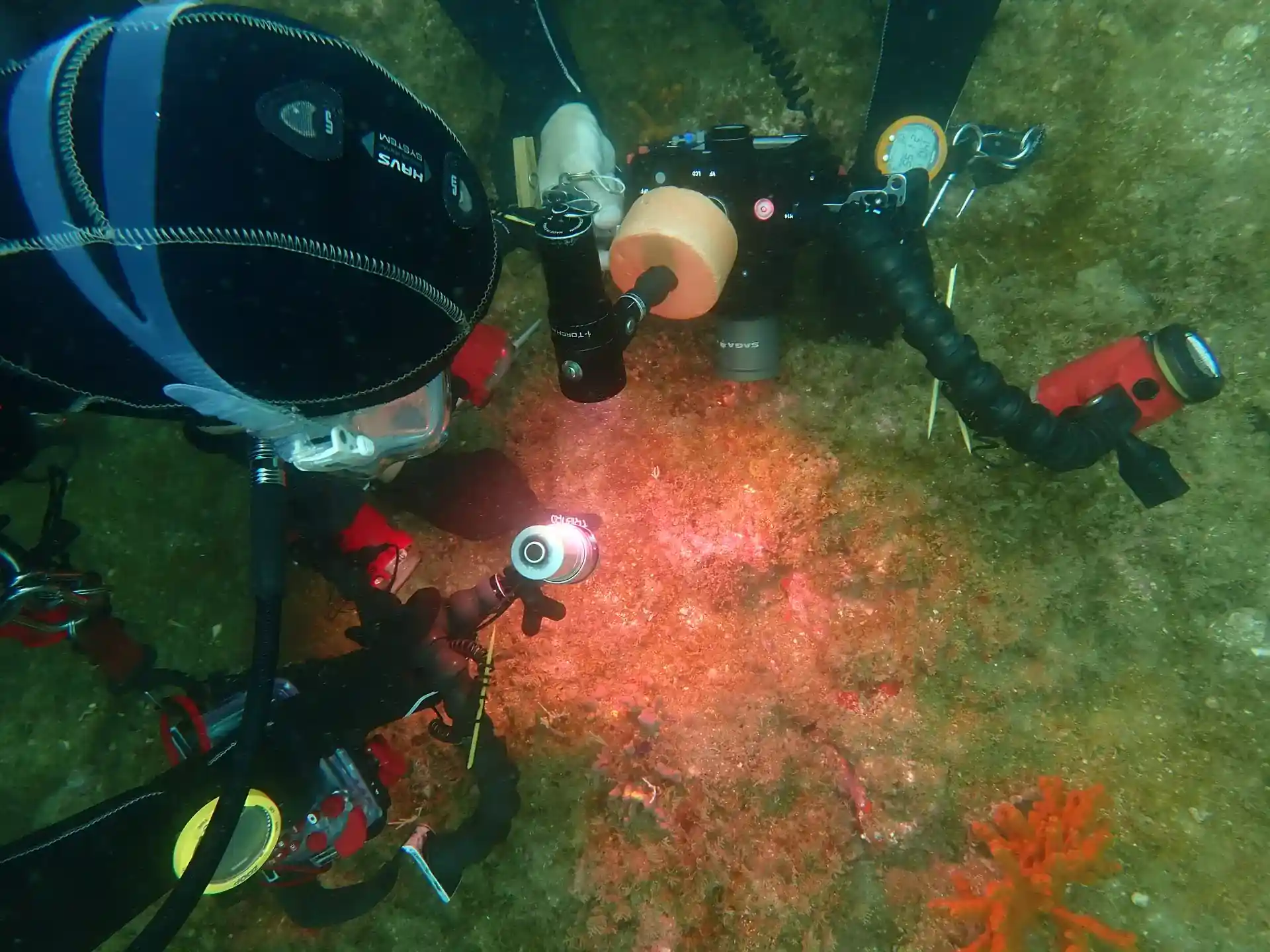 Foto del sitio de buceo