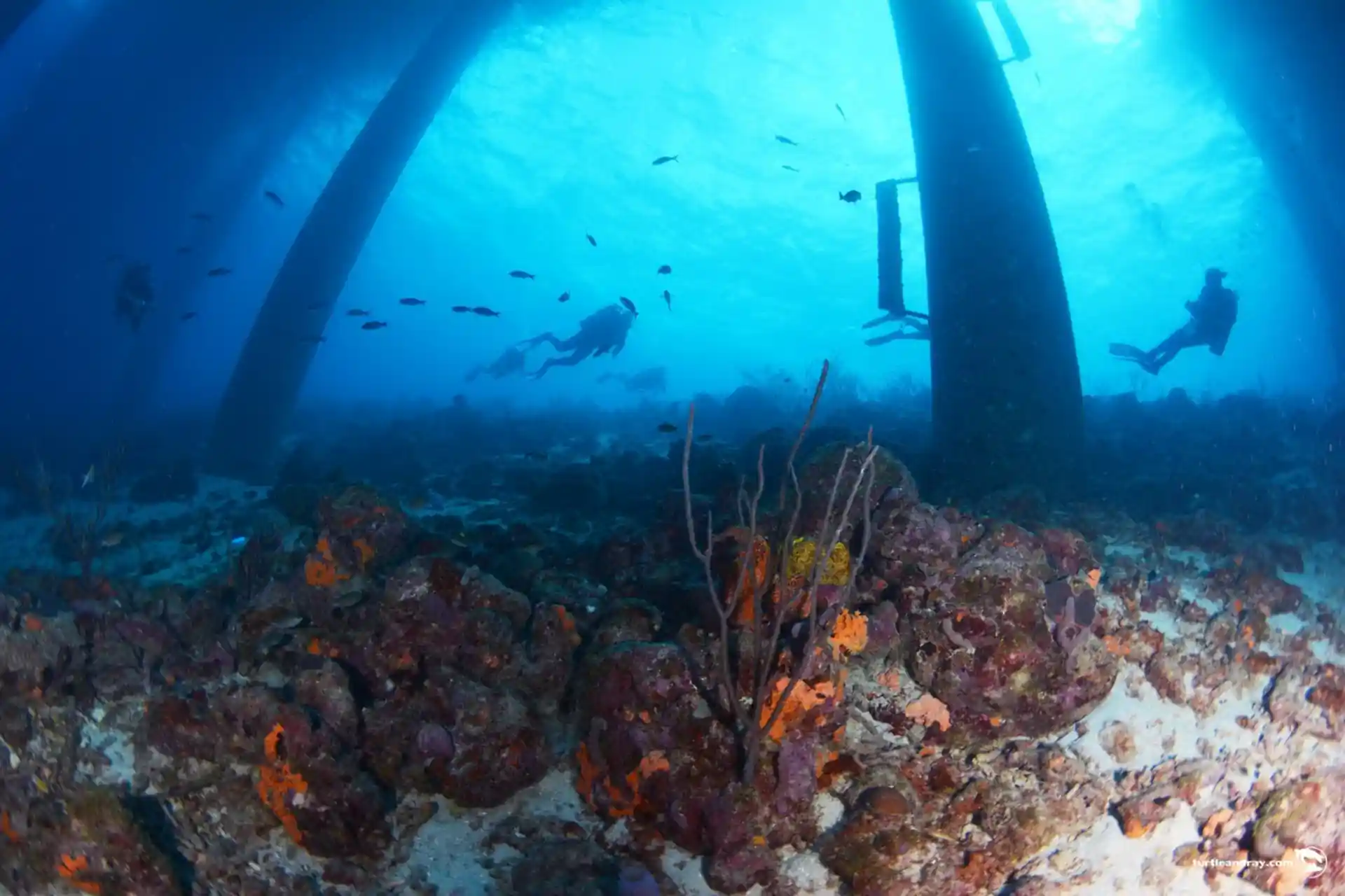 Dive site photo