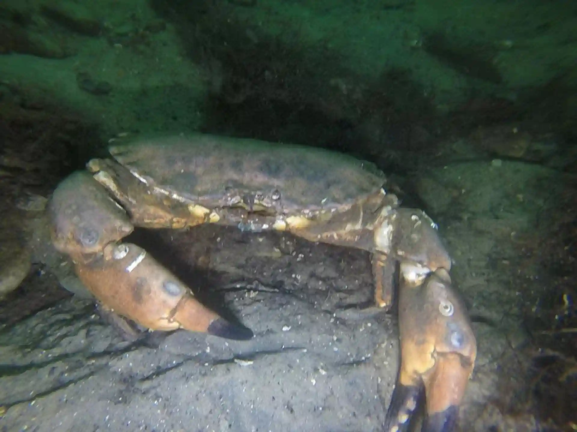 Foto des Tauchplatzes