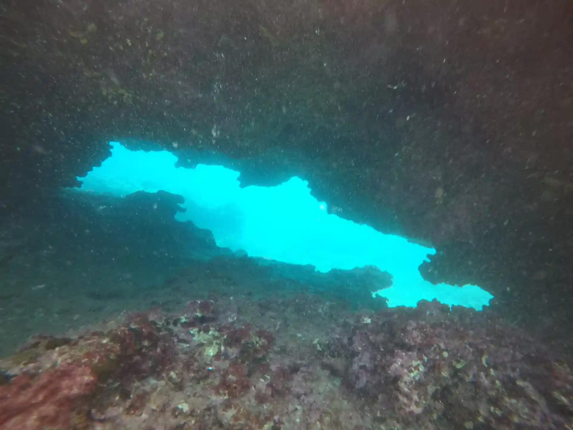 Dive site photo