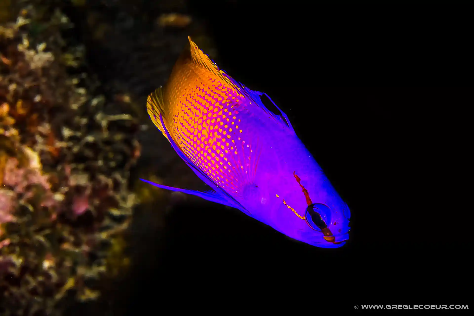 Dive shop photo