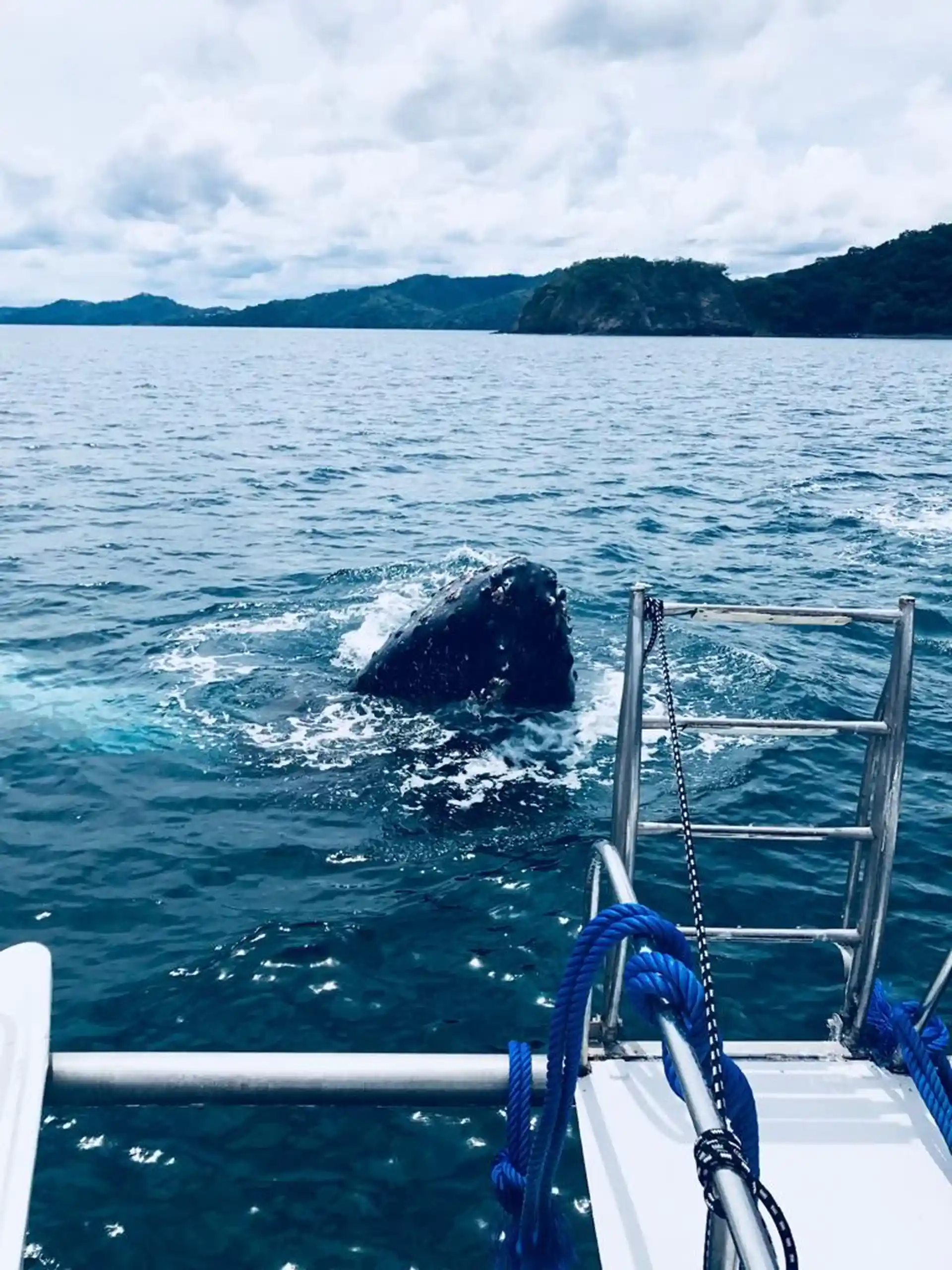 Foto de la actividad