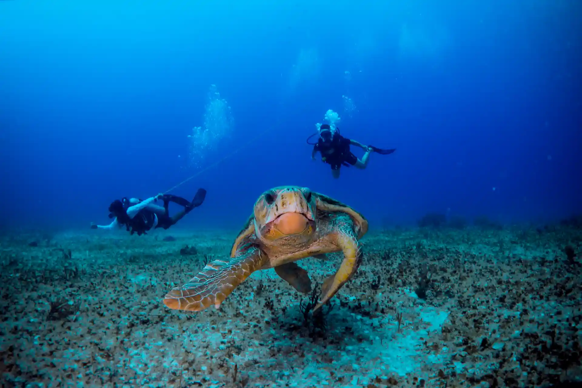 Foto de la tienda de buceo