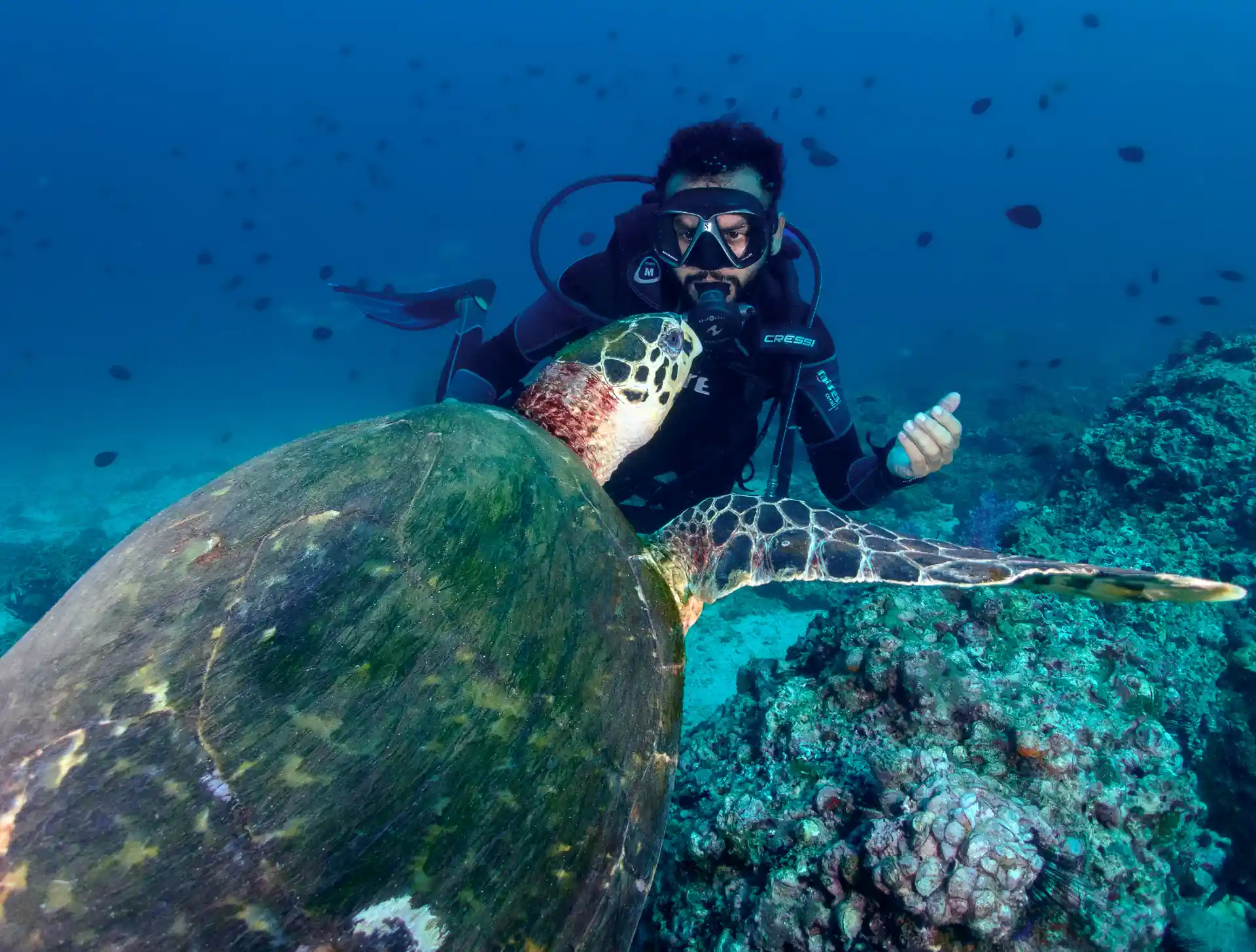 Always nice to be photobombed by a turtle