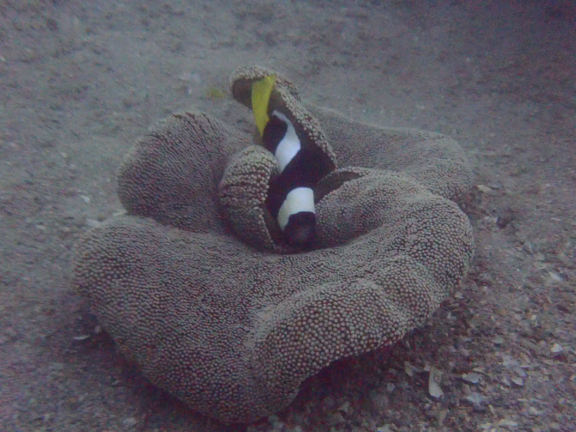 Dive shop photo