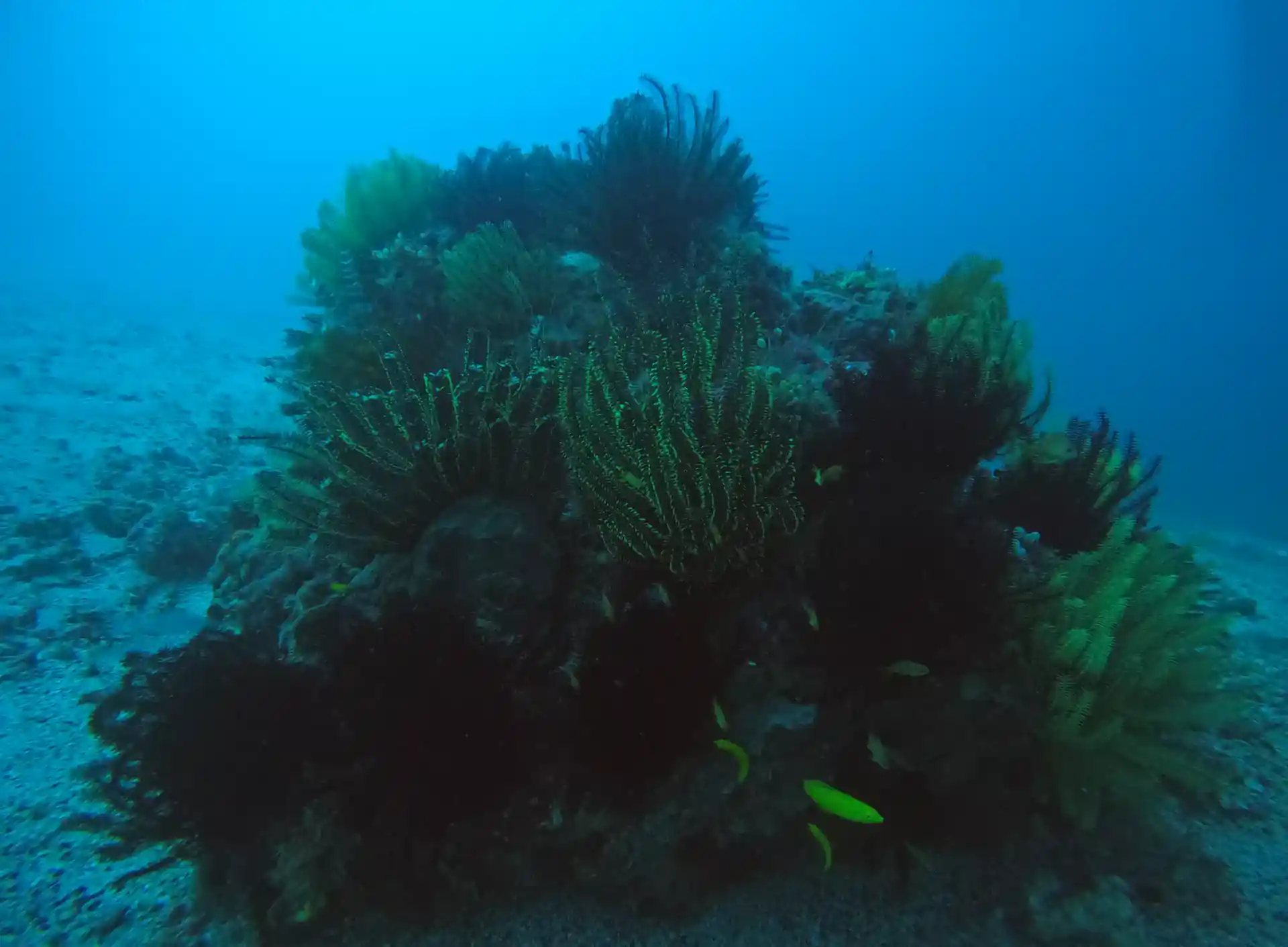 Foto des Tauchplatzes