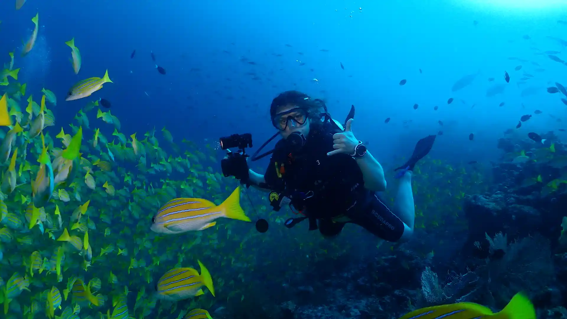 Foto de la actividad