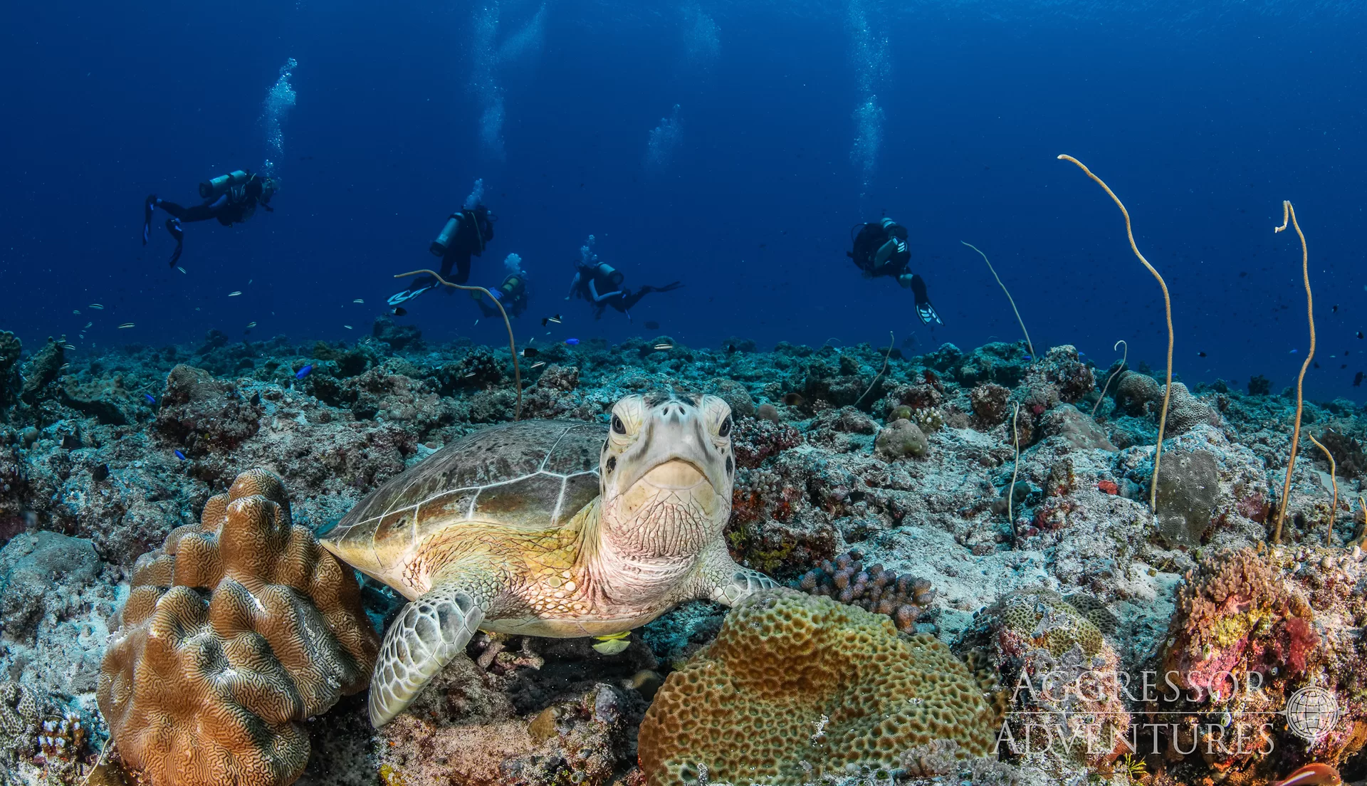 Dive shop photo
