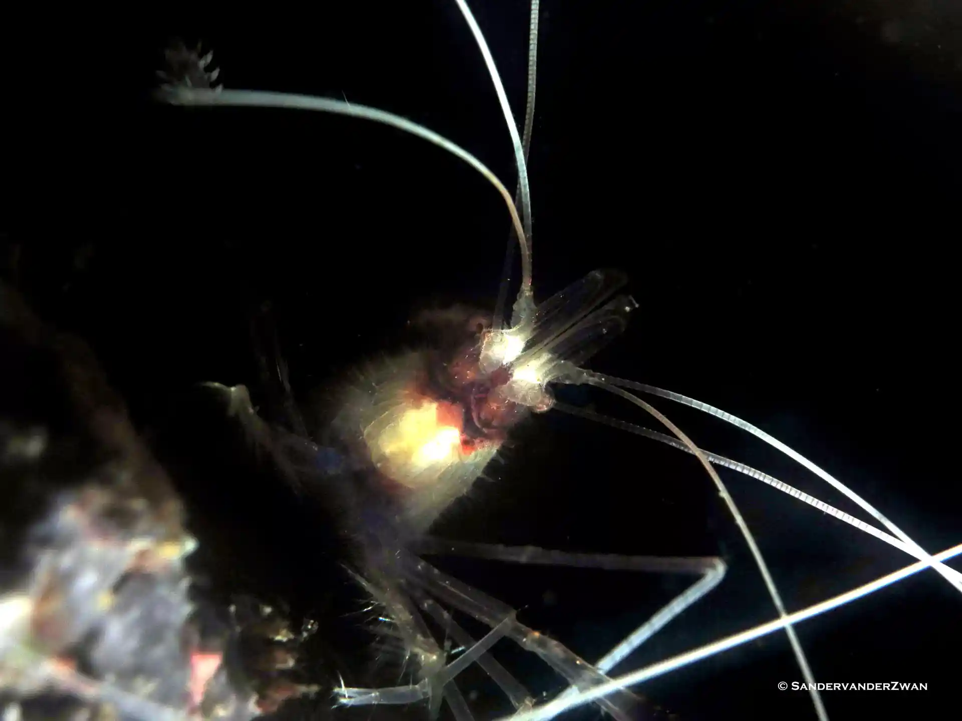 Foto de la actividad