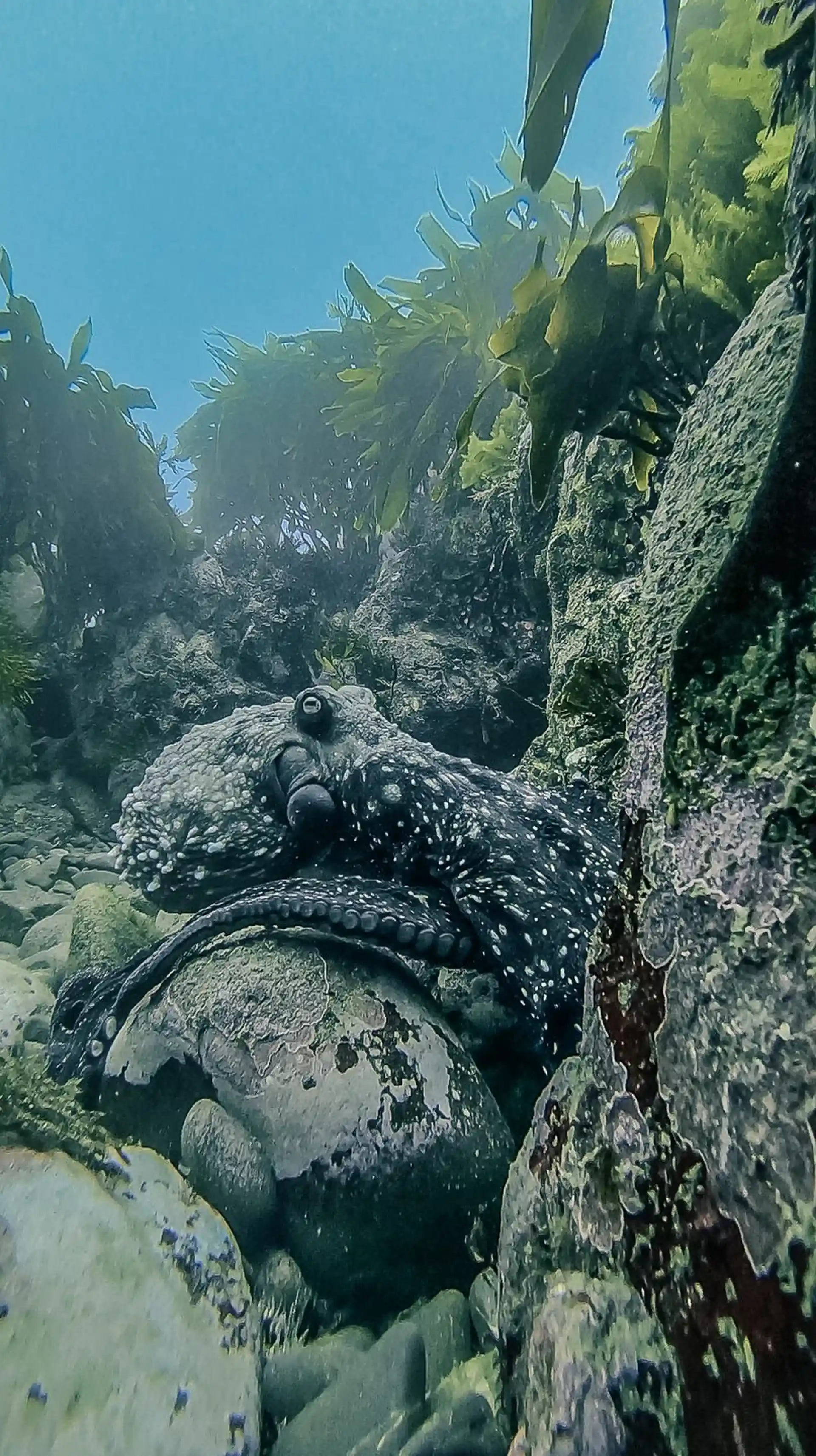 Dive site photo