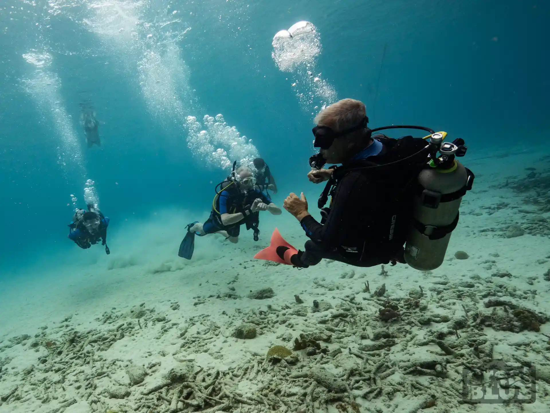 Dive shop photo