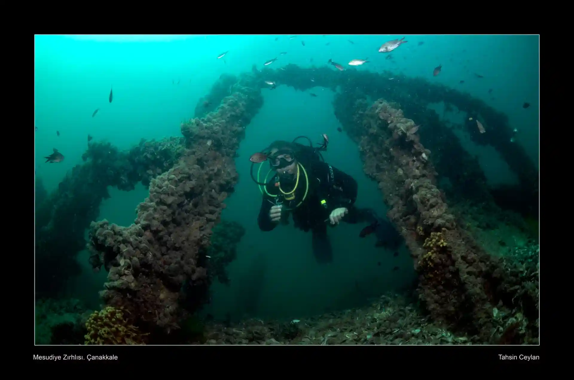 Dive into history with us
