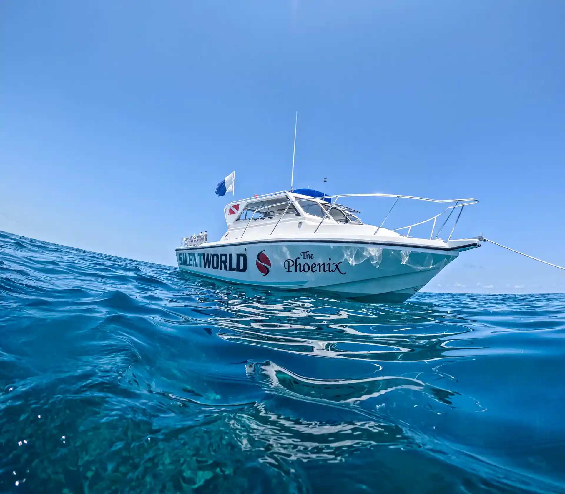 Foto de la actividad