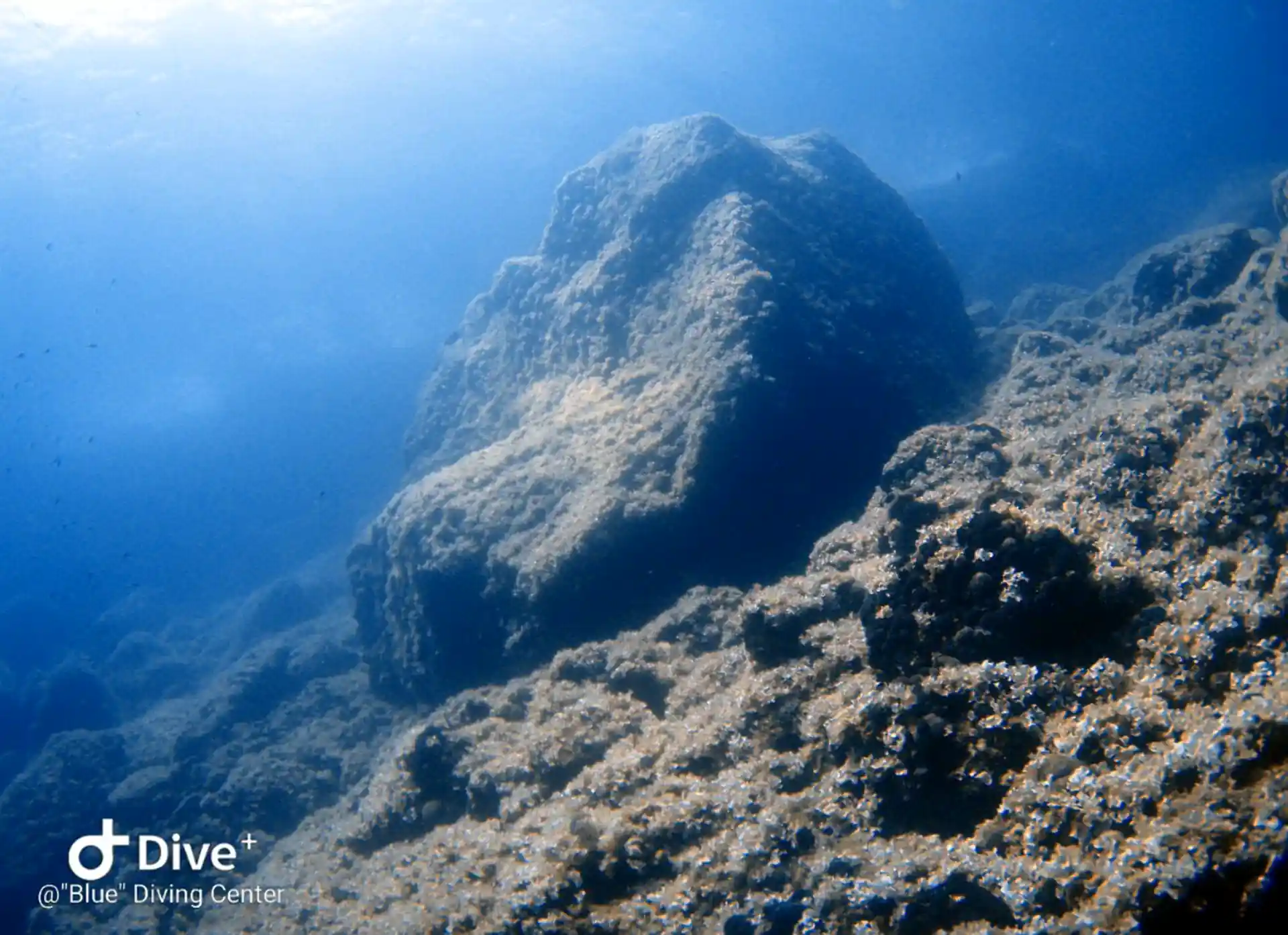Dive site photo
