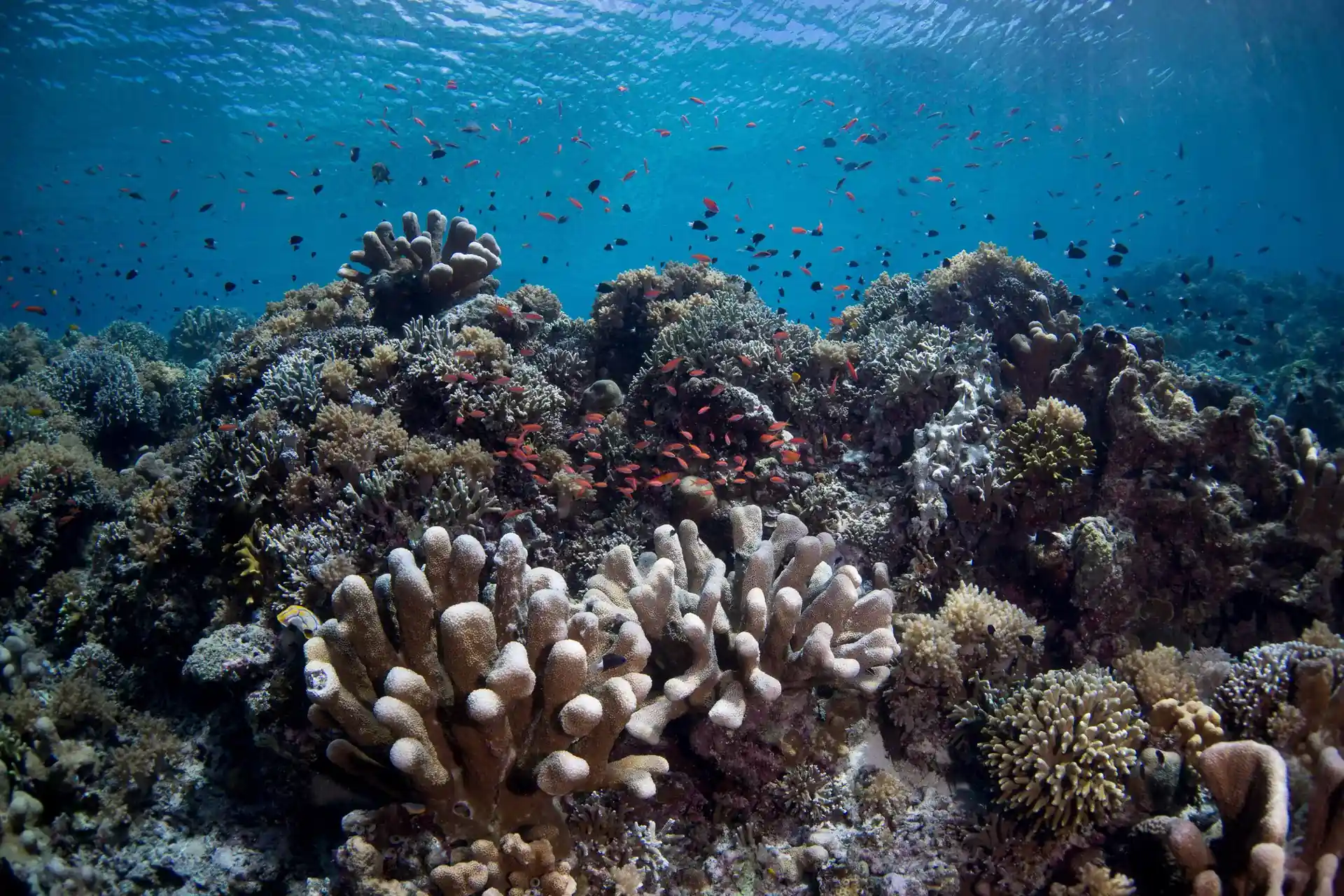 Foto des Tauchplatzes