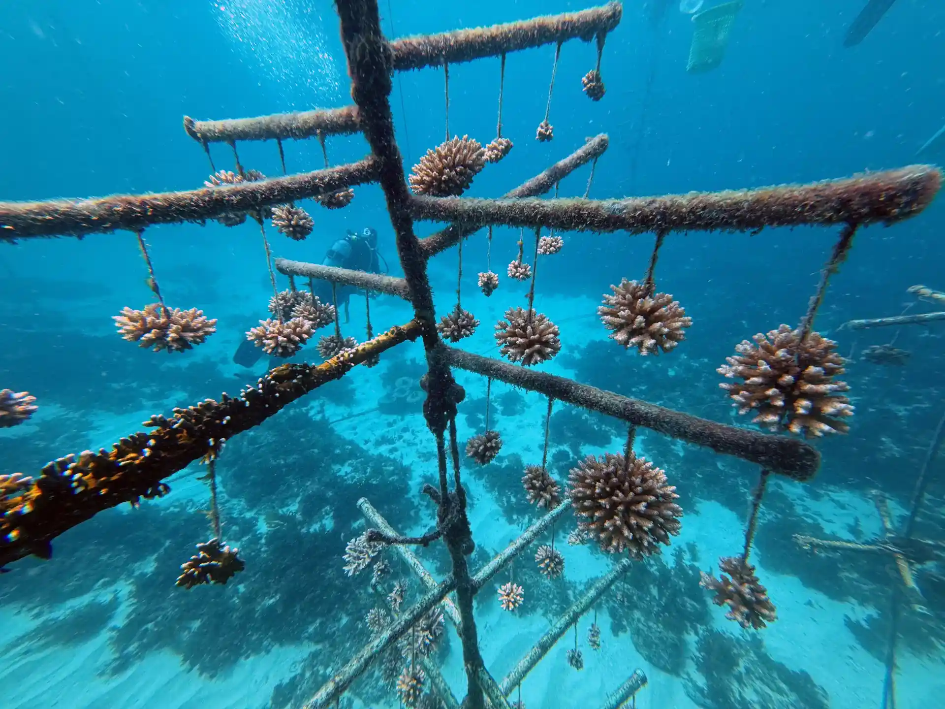 Dive shop photo