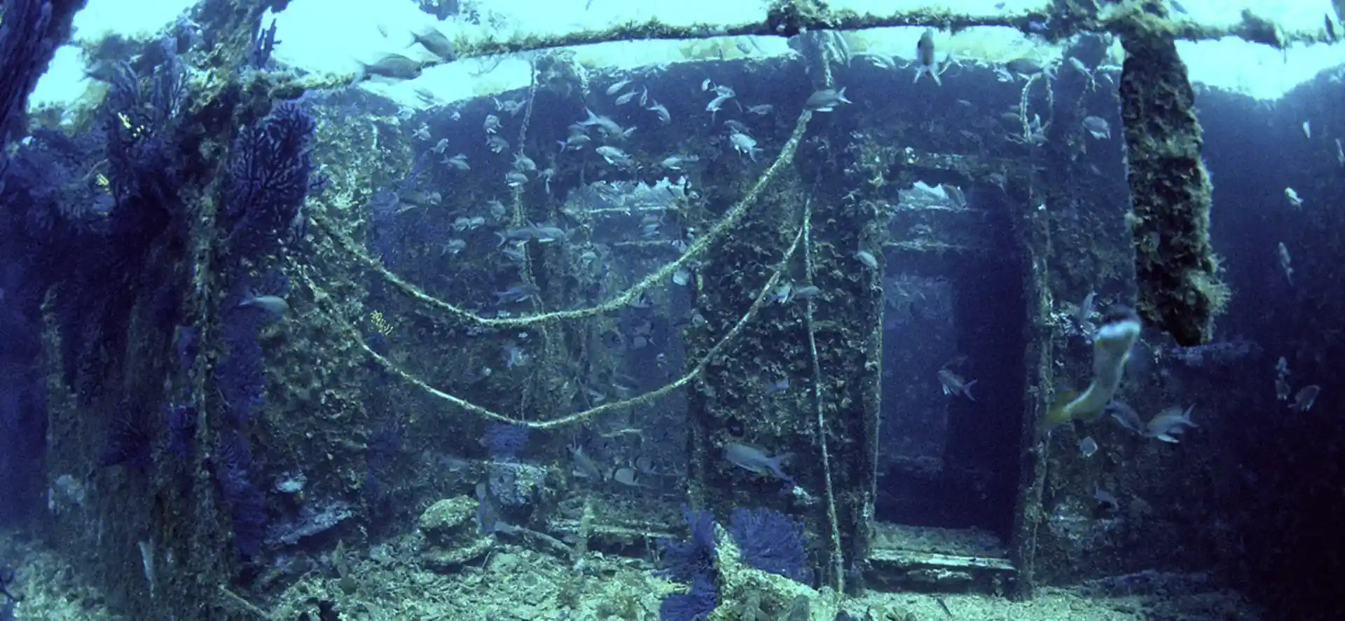 다이빙 포인트 사진