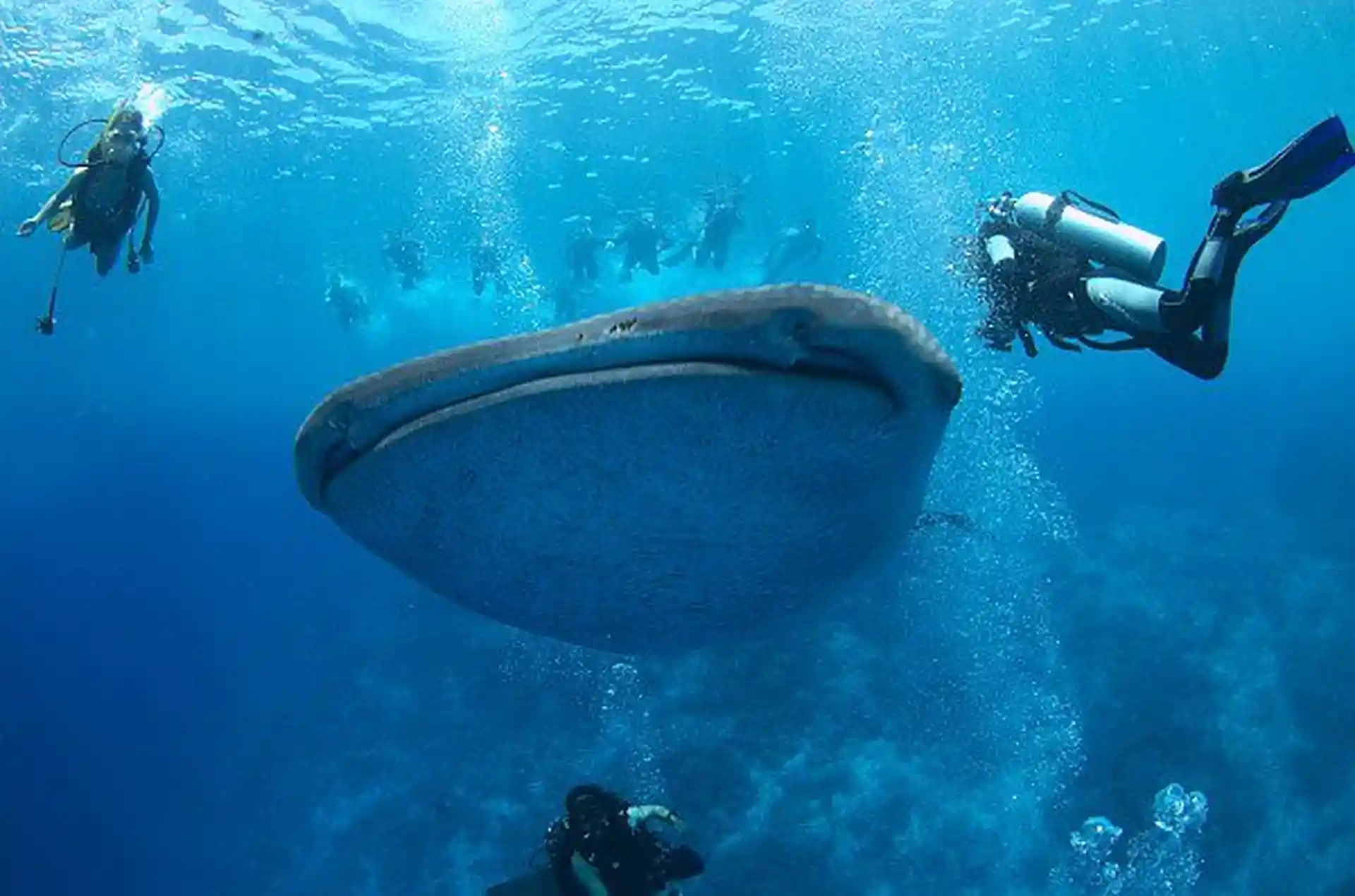 Dive shop photo