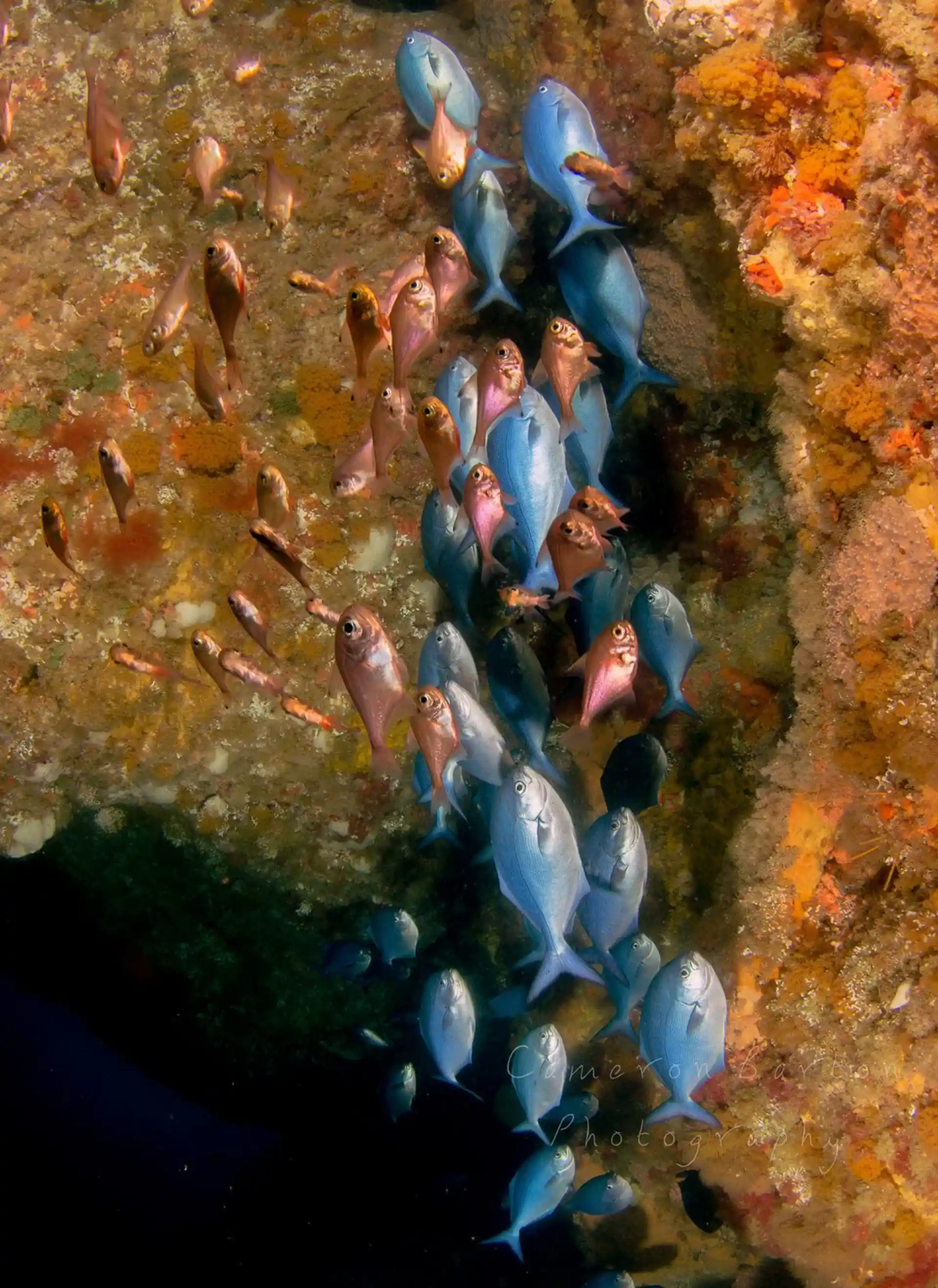 Dive site photo