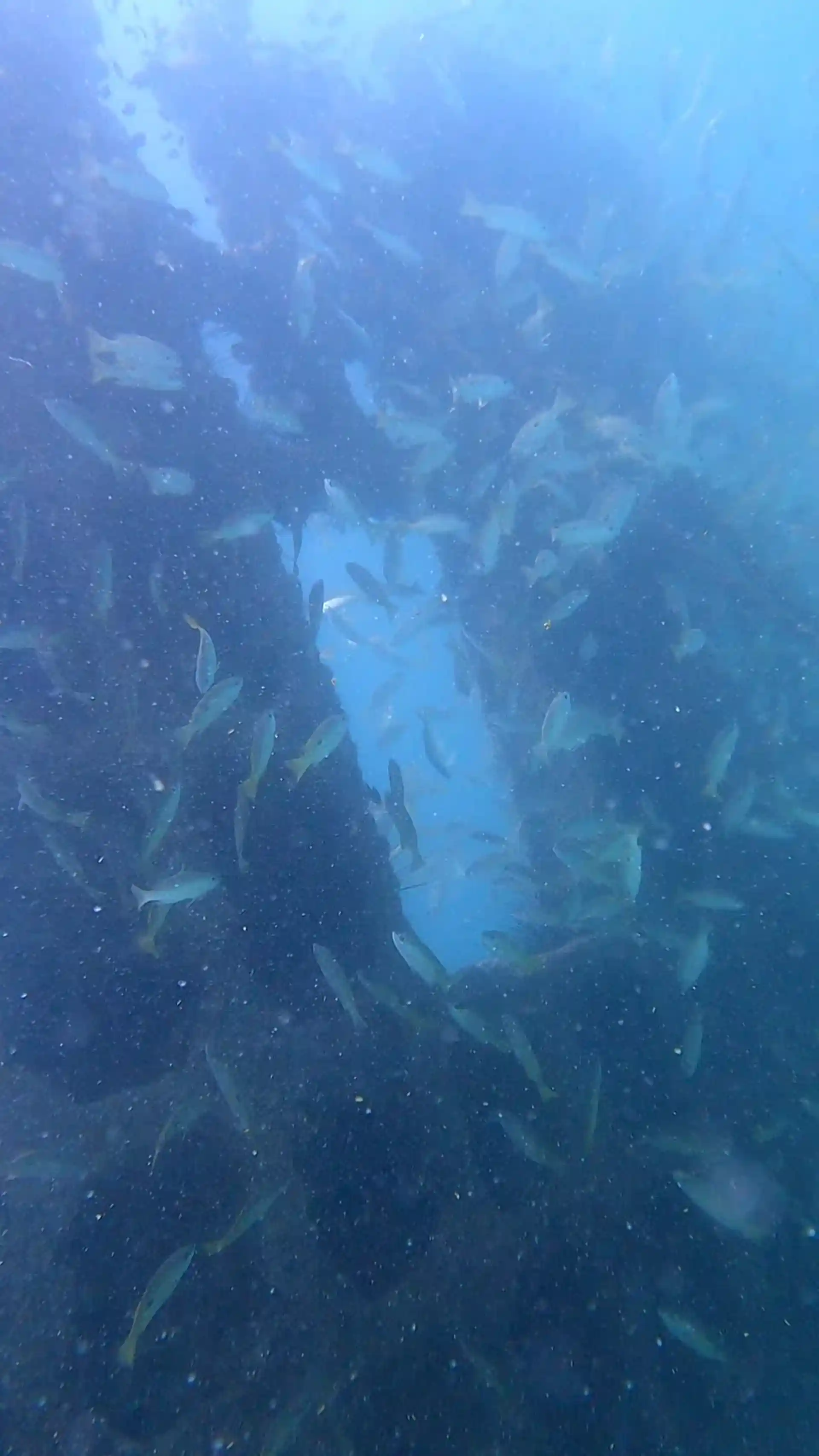 Dive site photo