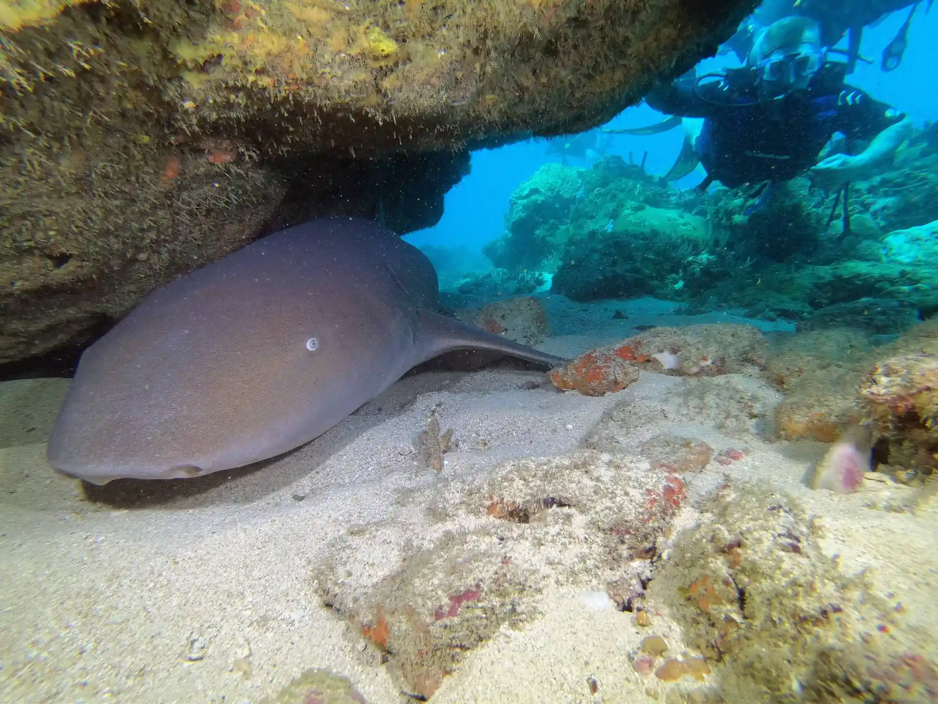 Dive site photo