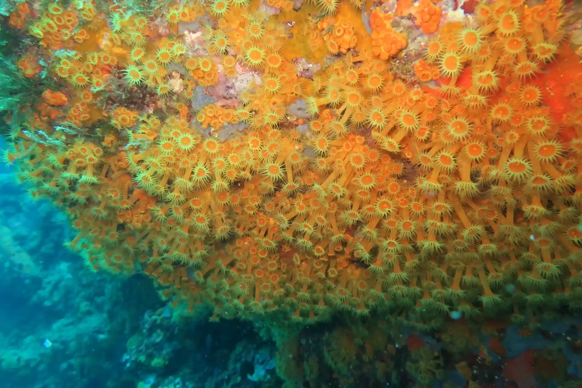 다이빙 포인트 사진