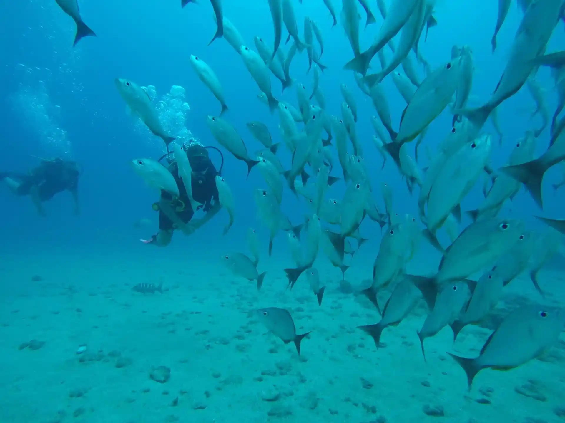 Foto del sitio de buceo