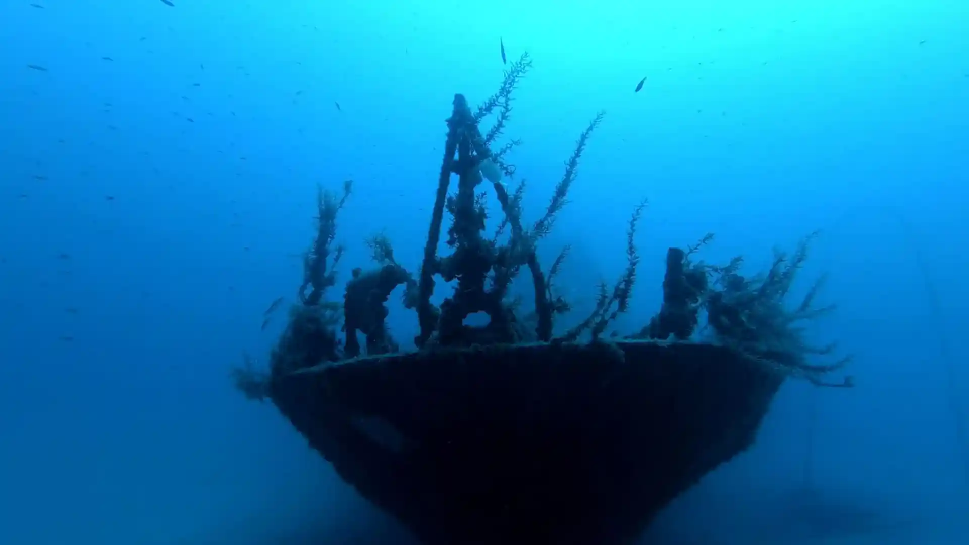 Dive site photo