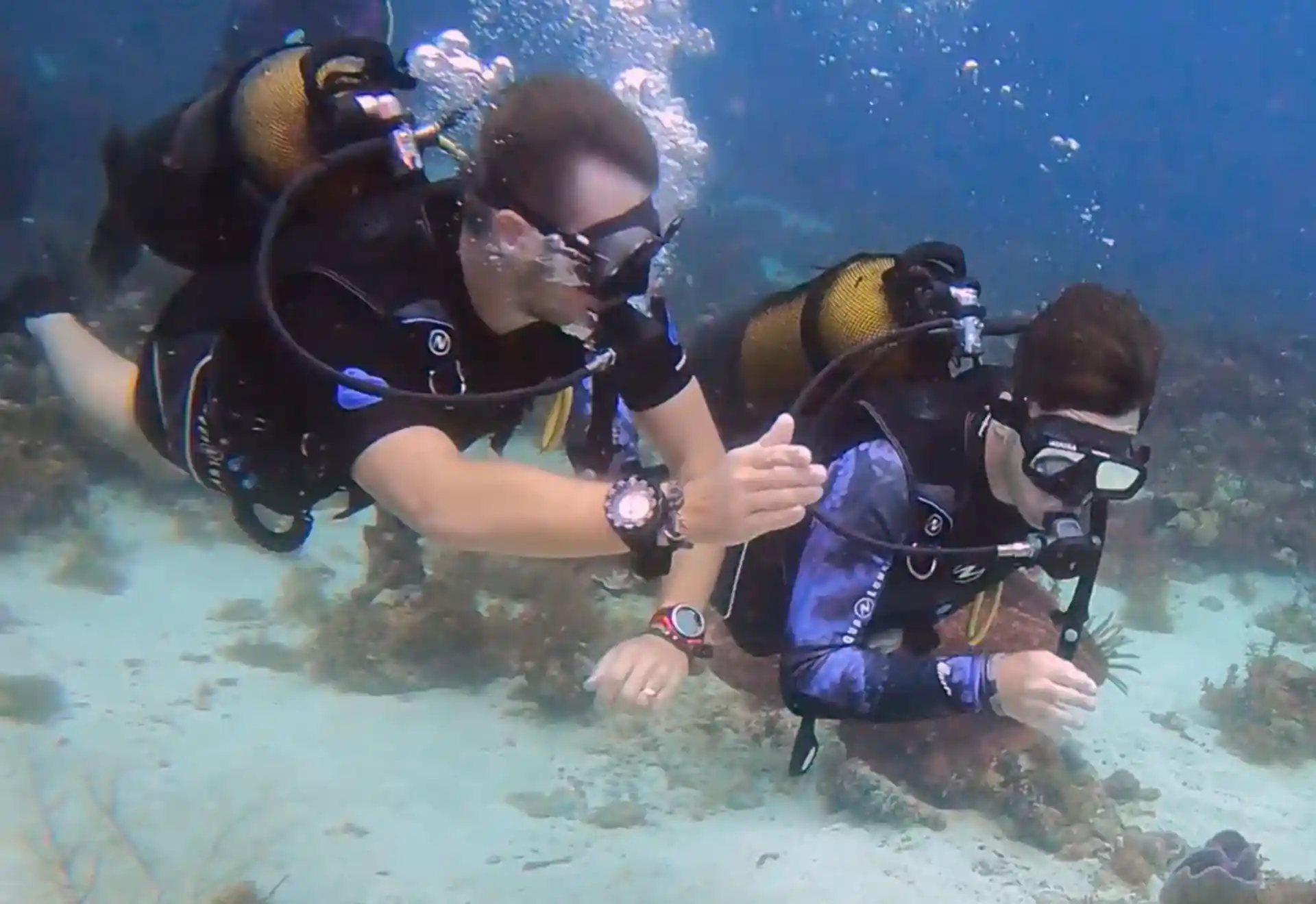 Foto de la actividad