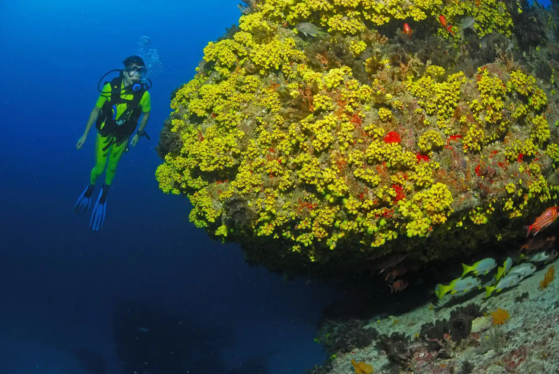 다이빙 포인트 사진