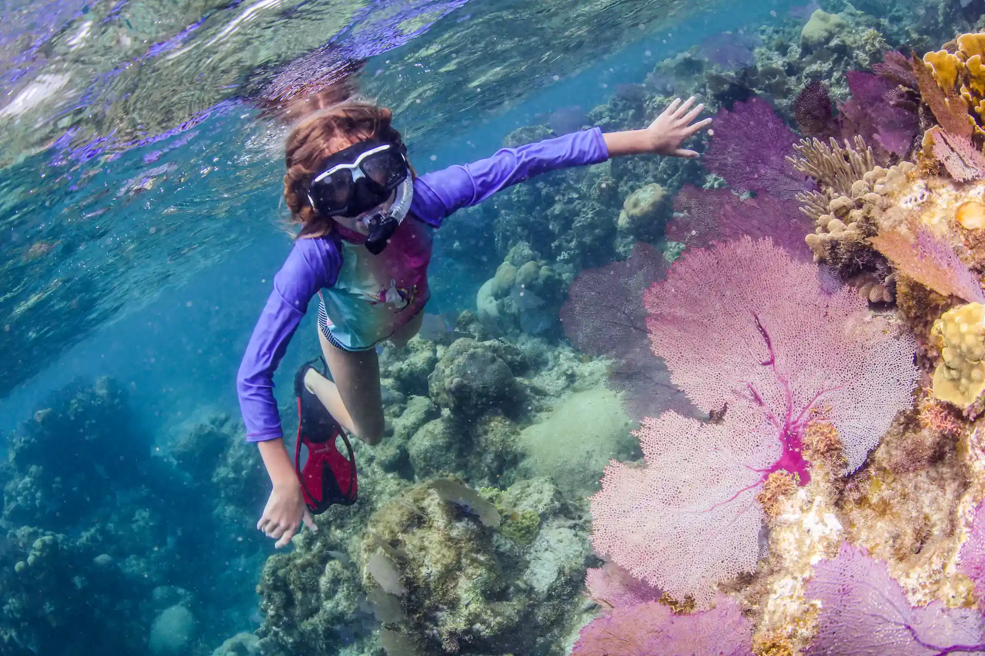 Photo de l'activité