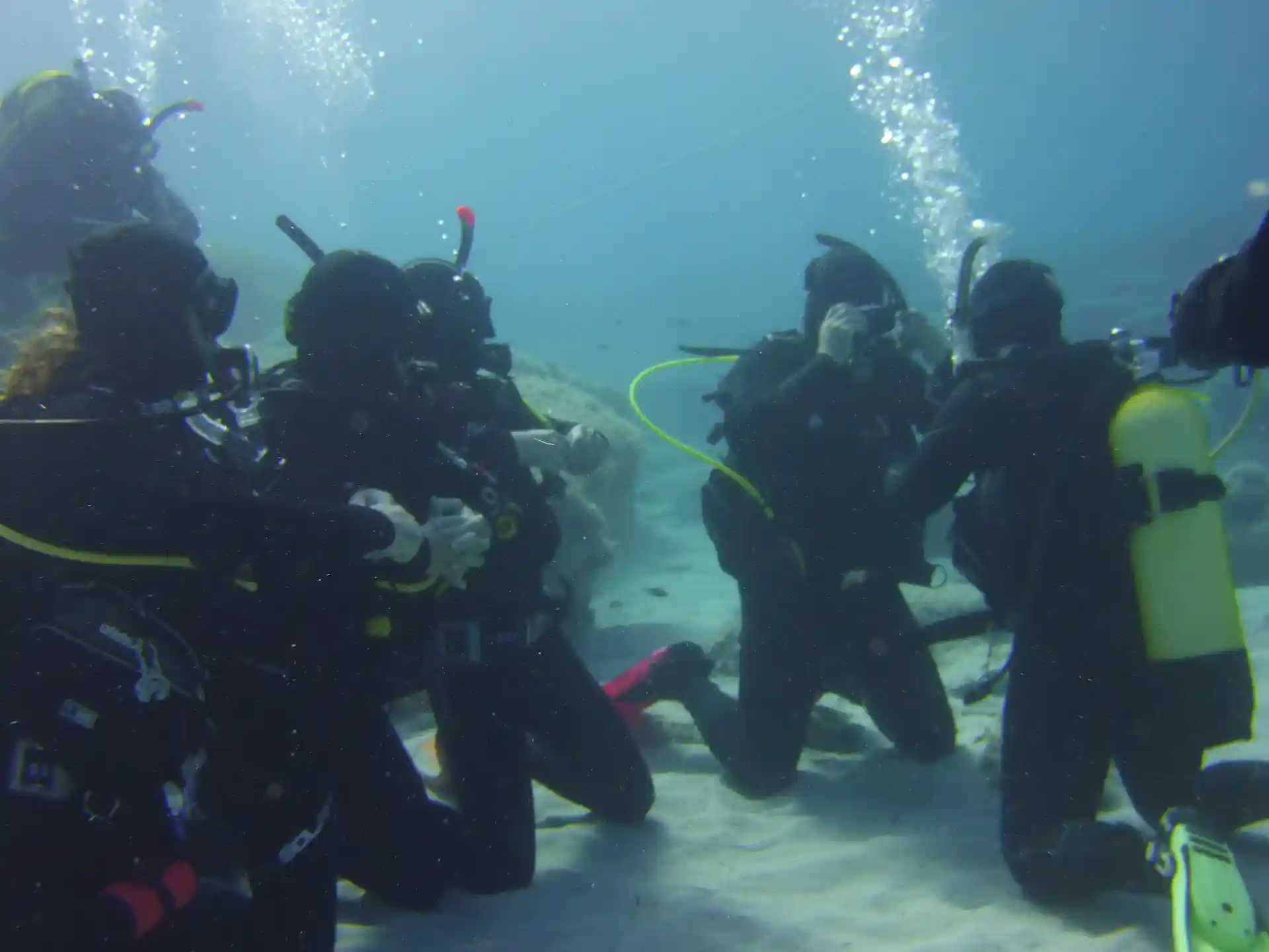 Foto de la actividad