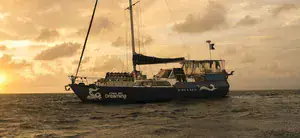 Dive operator picture